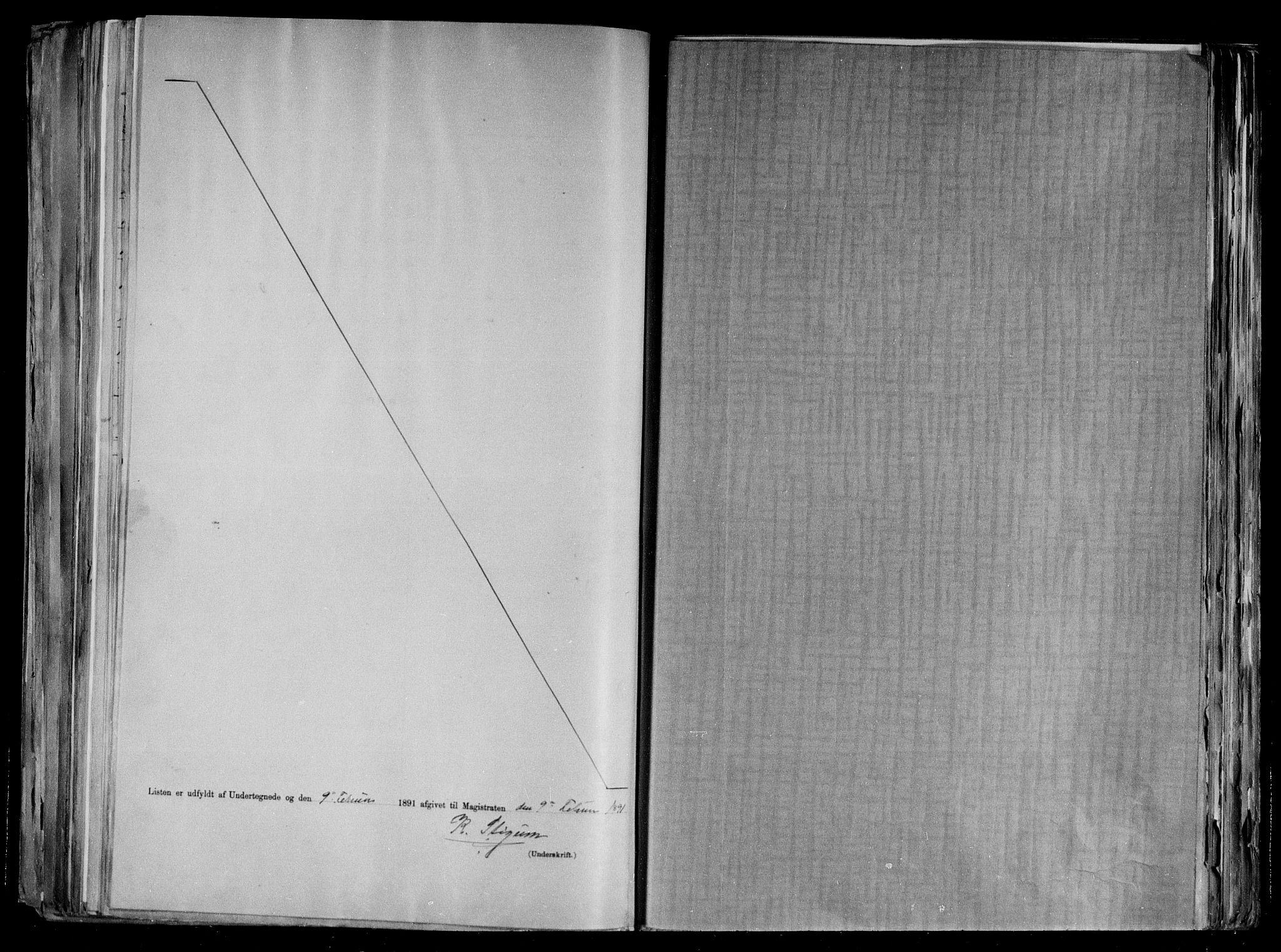 RA, 1891 census for 1502 Molde, 1891, p. 11