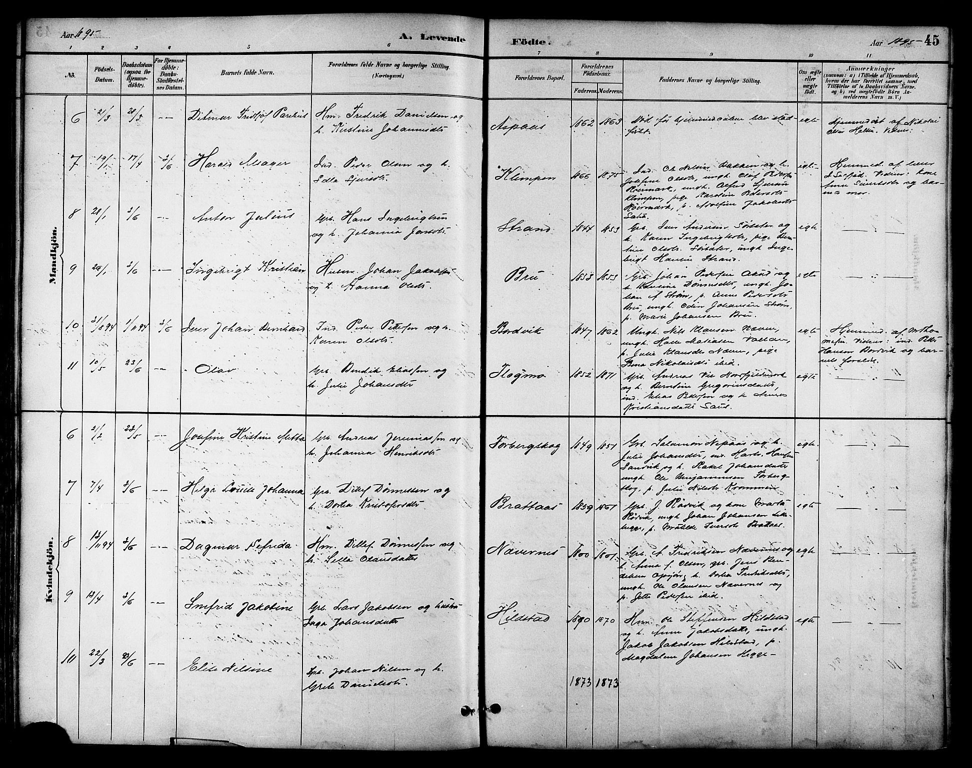 Ministerialprotokoller, klokkerbøker og fødselsregistre - Nordland, AV/SAT-A-1459/814/L0230: Parish register (copy) no. 814C03, 1884-1911, p. 45