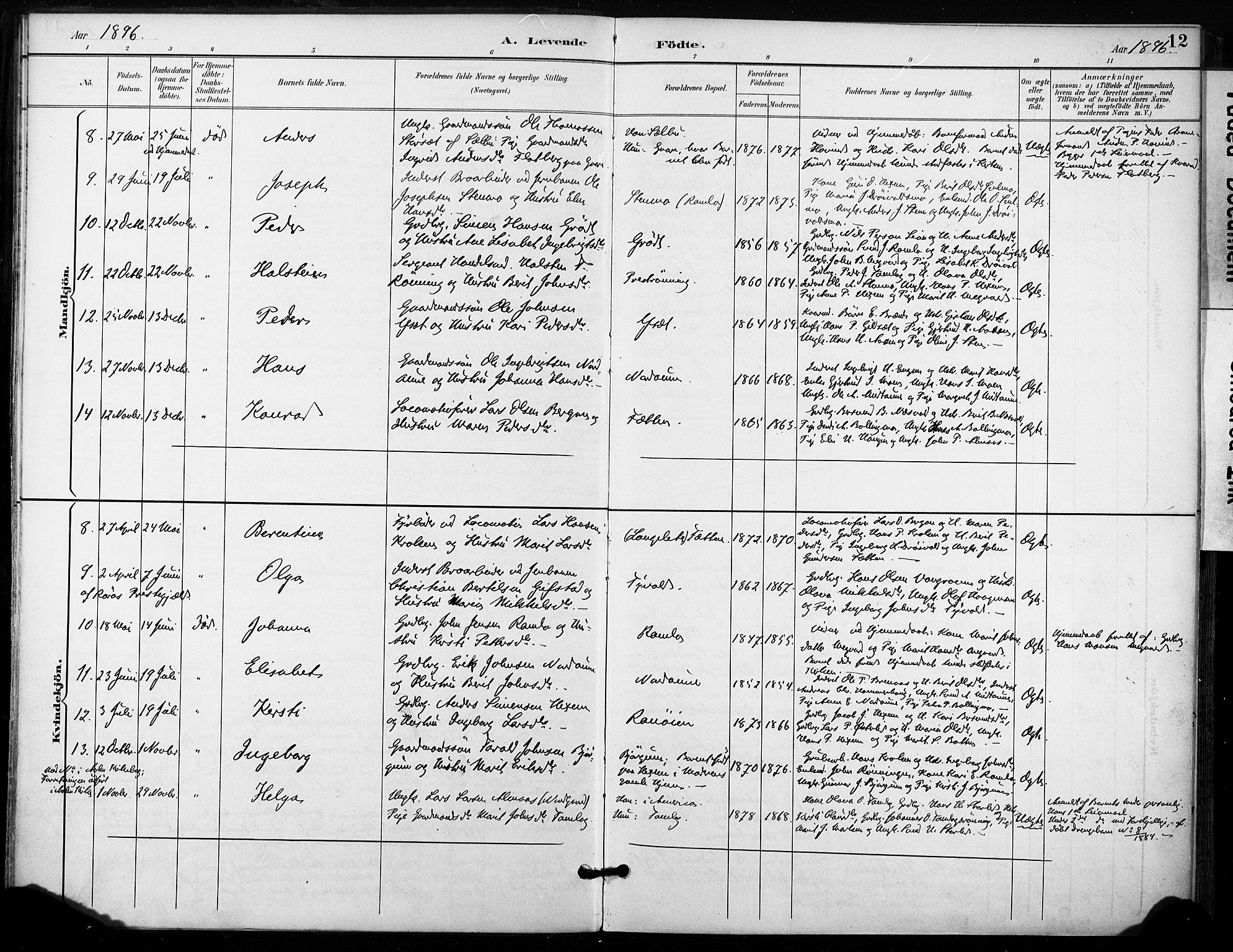 Ministerialprotokoller, klokkerbøker og fødselsregistre - Sør-Trøndelag, SAT/A-1456/685/L0973: Parish register (official) no. 685A10, 1891-1907, p. 12