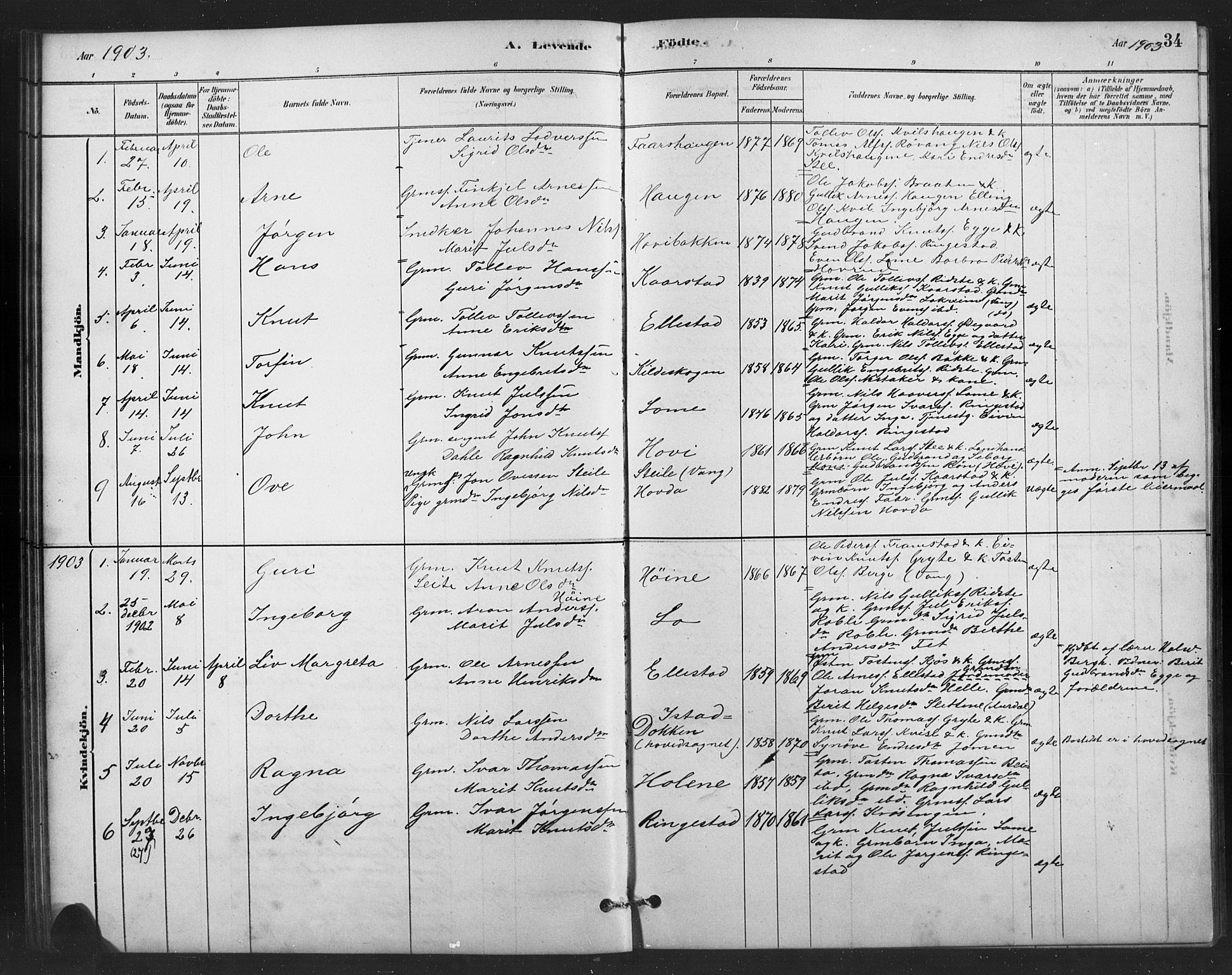 Vestre Slidre prestekontor, SAH/PREST-136/H/Ha/Hab/L0006: Parish register (copy) no. 6, 1881-1915, p. 34