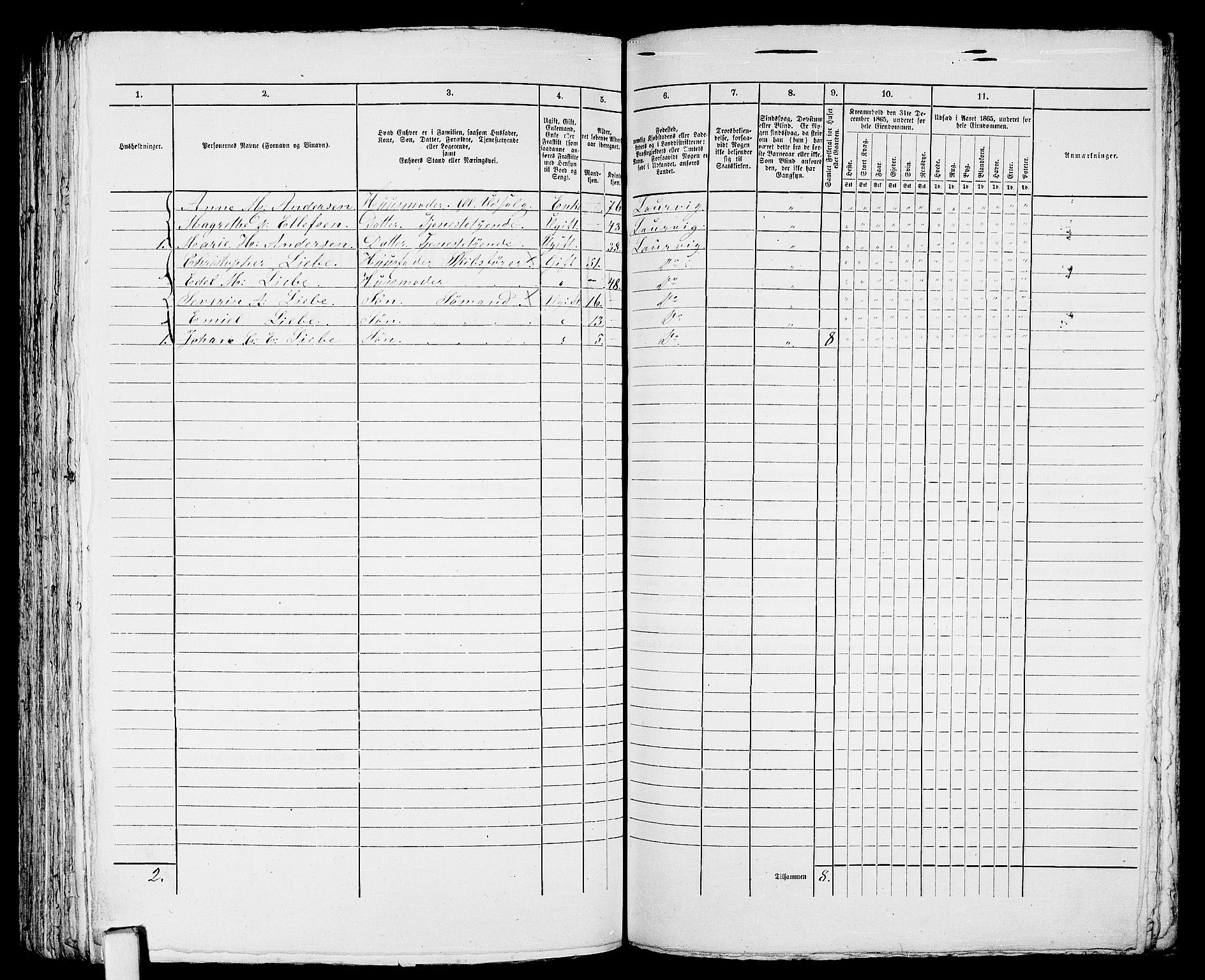 RA, 1865 census for Larvik, 1865, p. 458