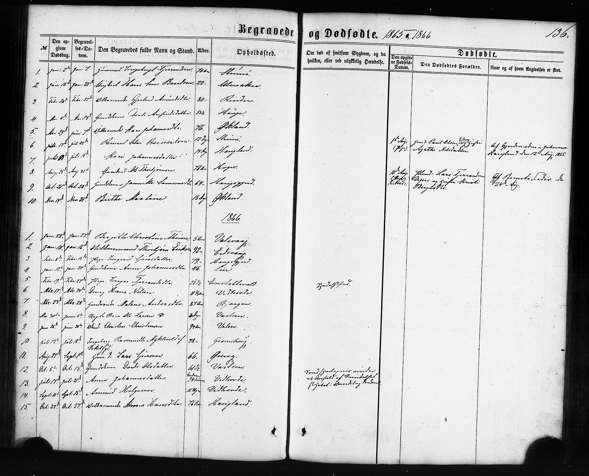 Sveio Sokneprestembete, AV/SAB-A-78501/H/Haa: Parish register (official) no. C 1, 1862-1880, p. 136