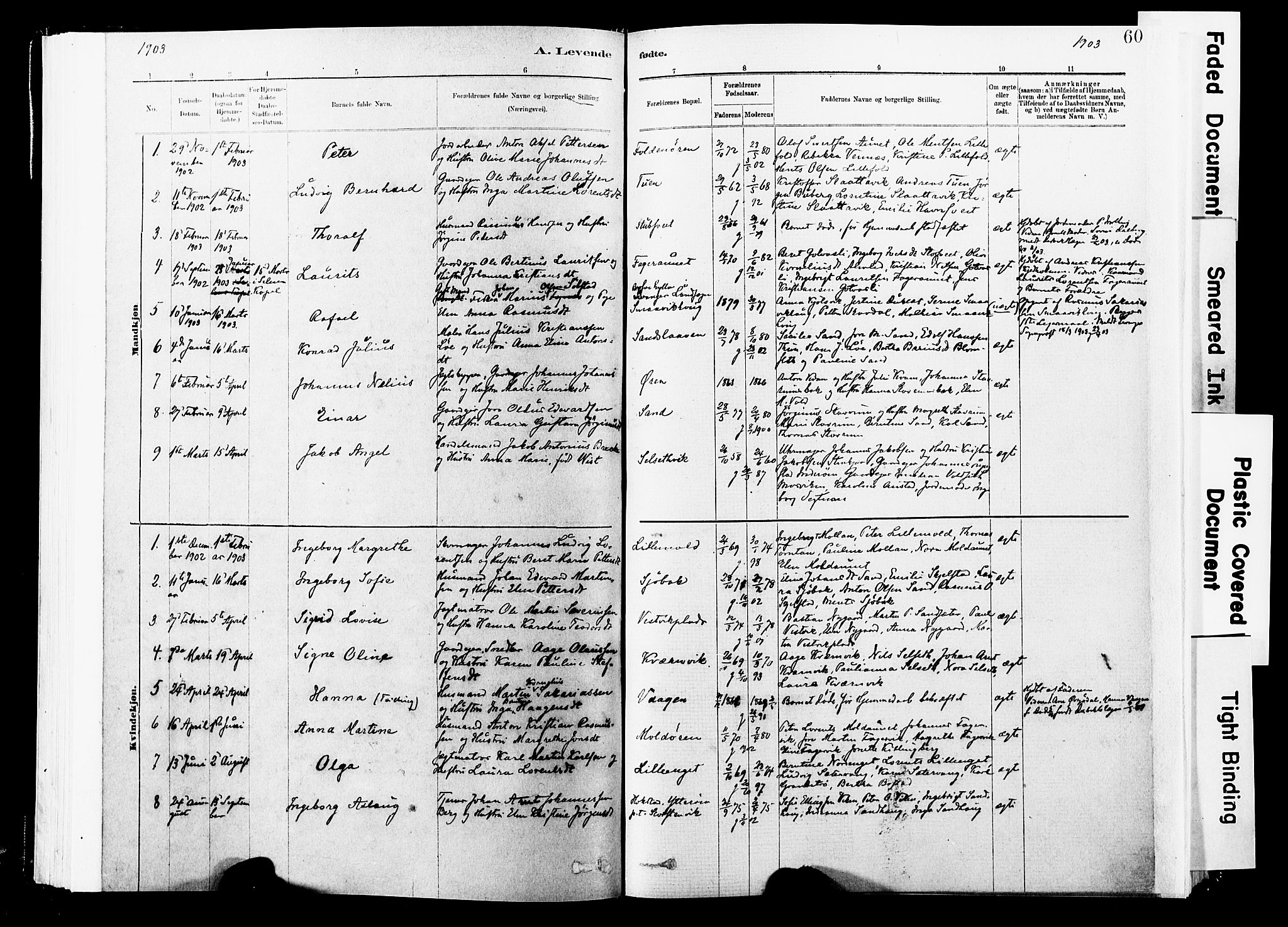 Ministerialprotokoller, klokkerbøker og fødselsregistre - Nord-Trøndelag, AV/SAT-A-1458/744/L0420: Parish register (official) no. 744A04, 1882-1904, p. 60