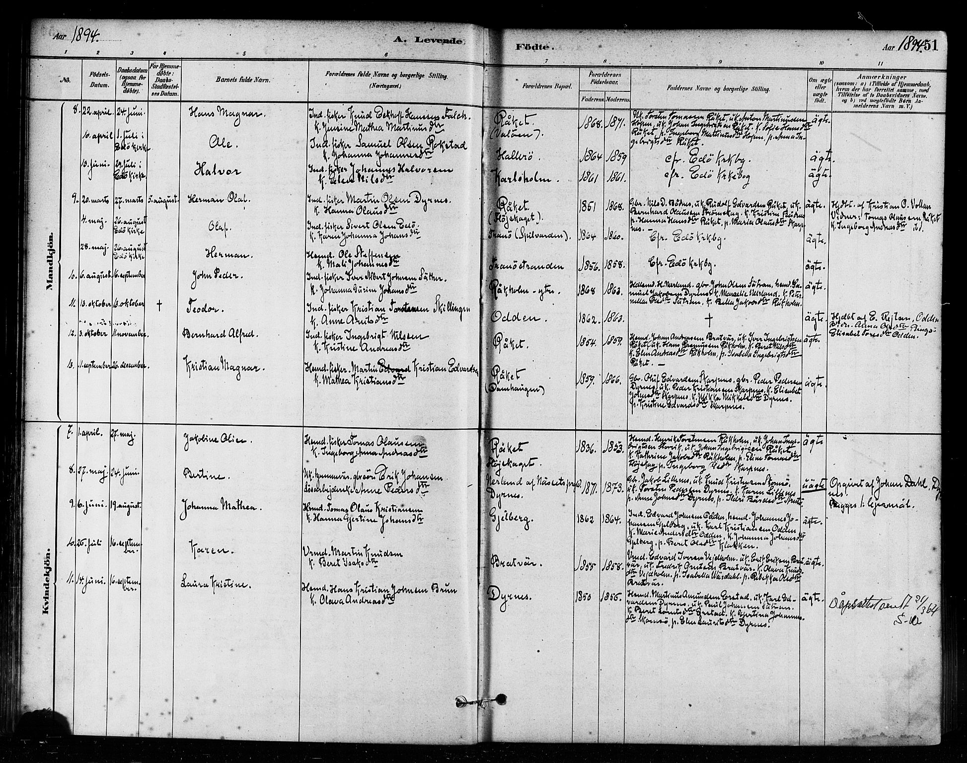 Ministerialprotokoller, klokkerbøker og fødselsregistre - Møre og Romsdal, AV/SAT-A-1454/582/L0947: Parish register (official) no. 582A01, 1880-1900, p. 51