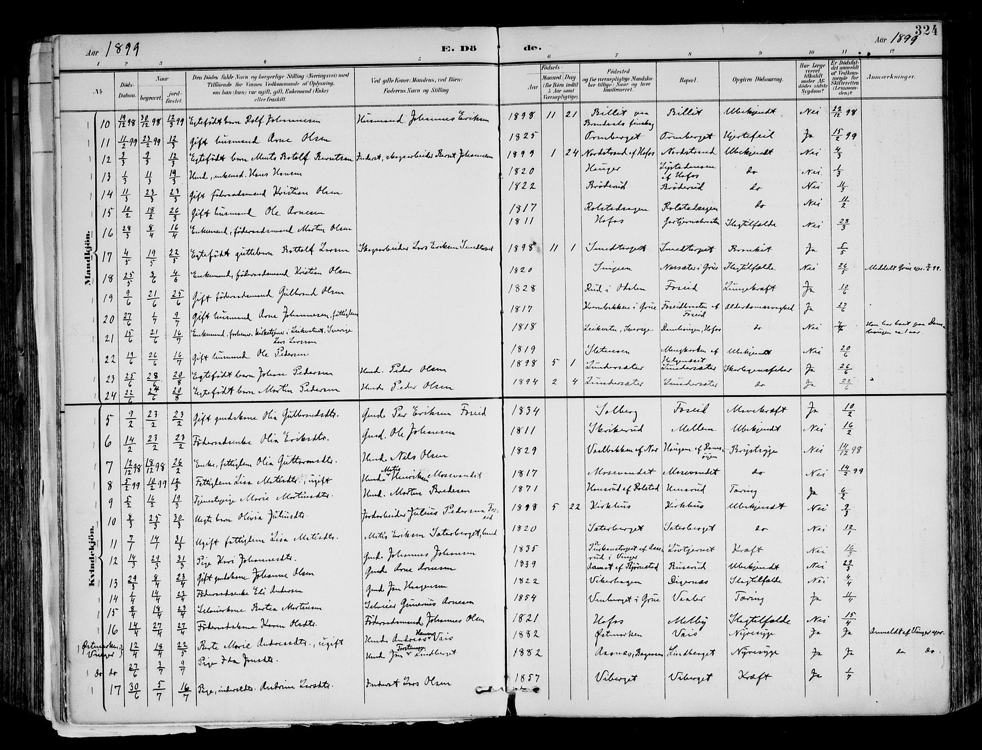 Brandval prestekontor, AV/SAH-PREST-034/H/Ha/Haa/L0003: Parish register (official) no. 3, 1894-1909, p. 324