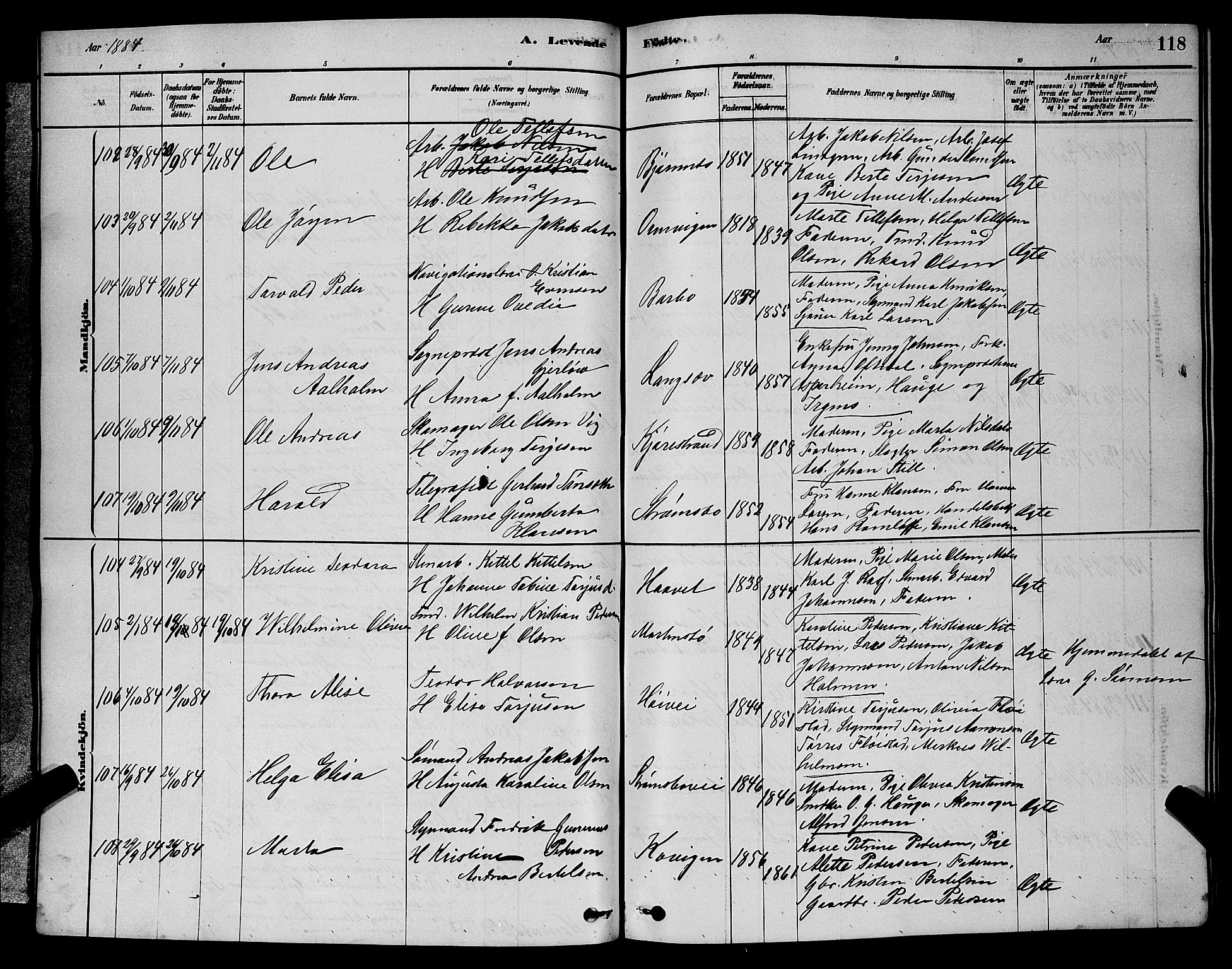 Barbu sokneprestkontor, AV/SAK-1111-0003/F/Fb/L0001: Parish register (copy) no. B 1, 1878-1890, p. 118