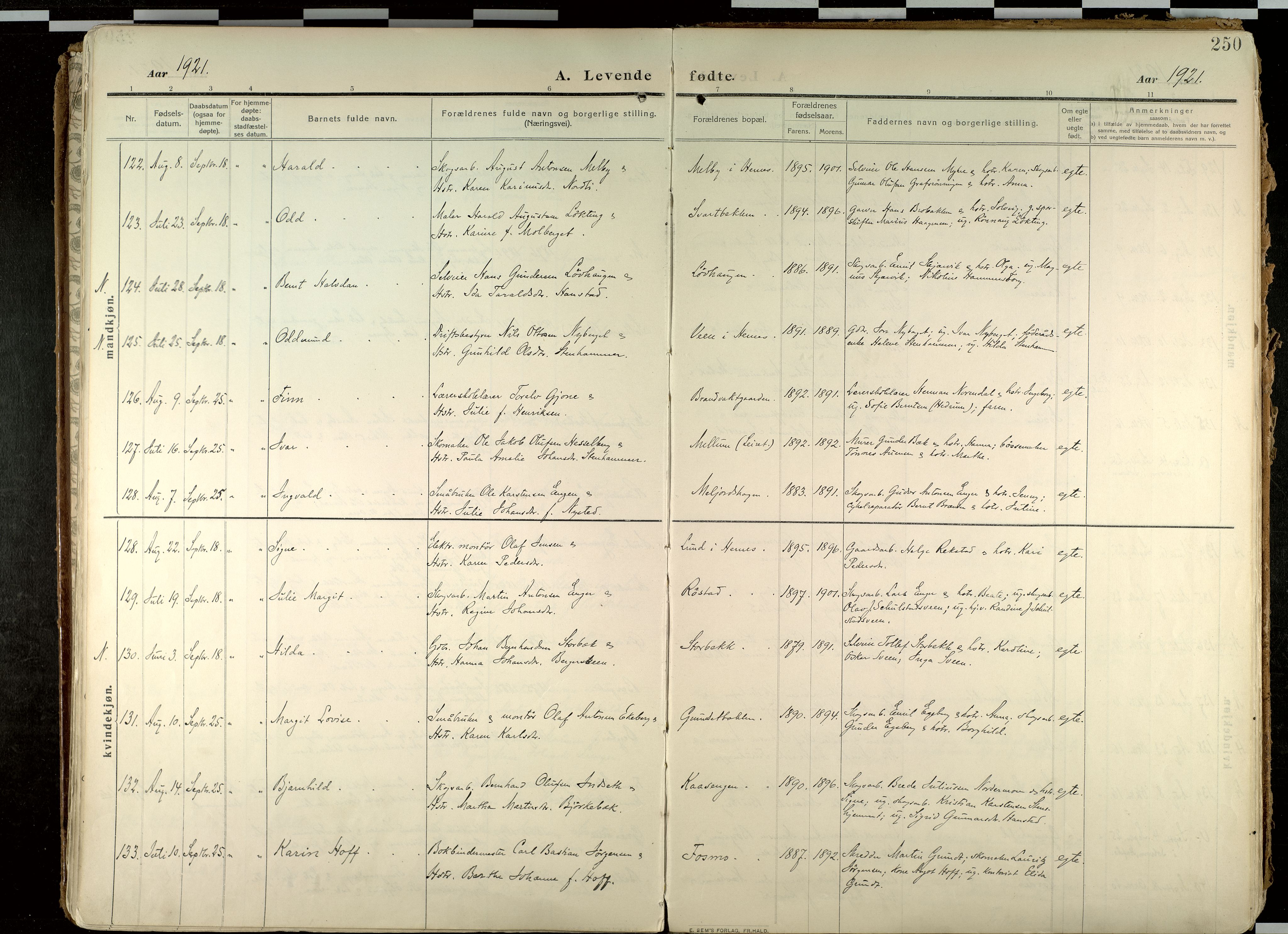 Elverum prestekontor, AV/SAH-PREST-044/H/Ha/Haa/L0020: Parish register (official) no. 20, 1909-1921, p. 250