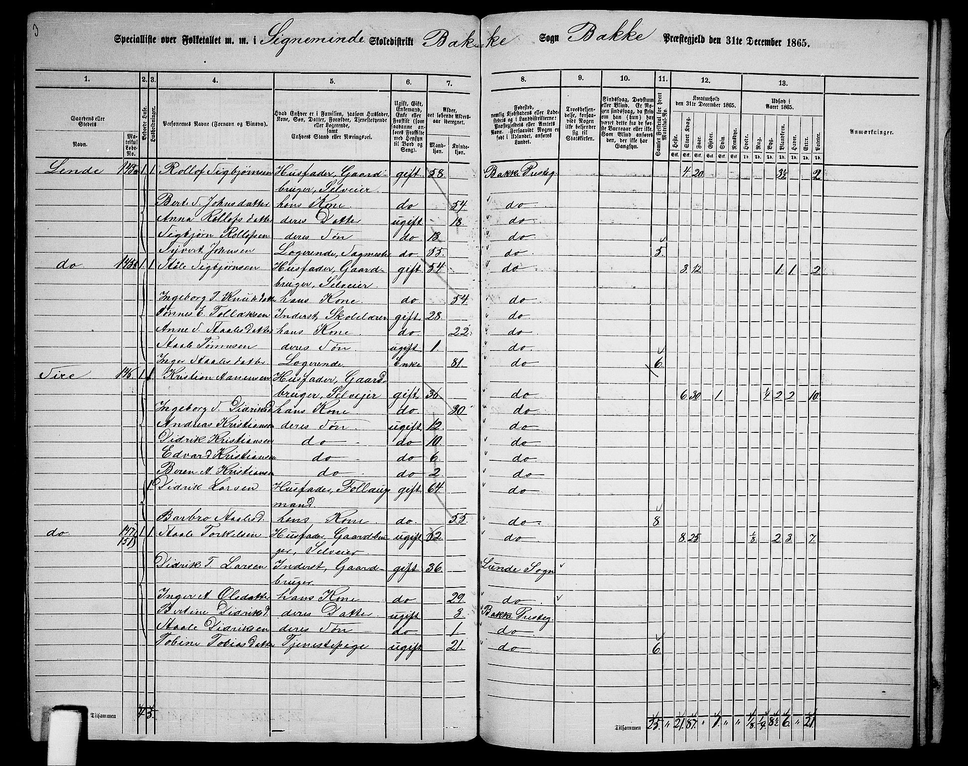 RA, 1865 census for Bakke, 1865, p. 94