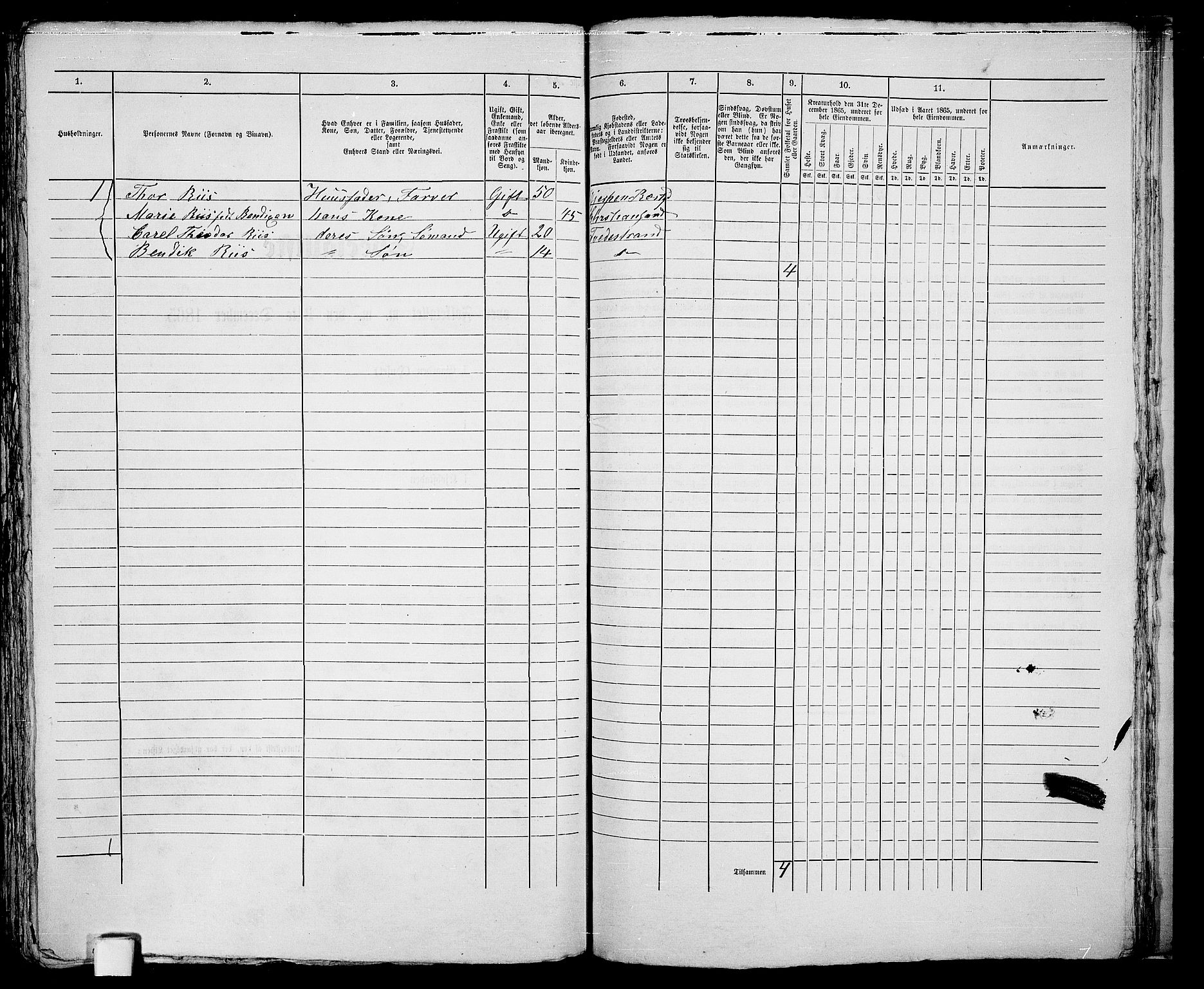 RA, 1865 census for Holt/Tvedestrand, 1865, p. 293