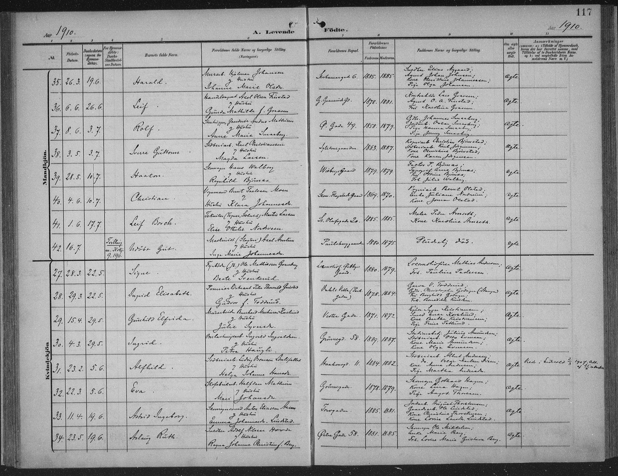 Hamar prestekontor, AV/SAH-DOMPH-002/H/Ha/Haa/L0001: Parish register (official) no. 1, 1900-1914, p. 117