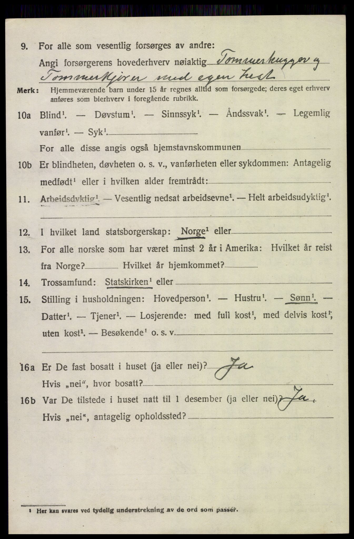 SAH, 1920 census for Trysil, 1920, p. 15246