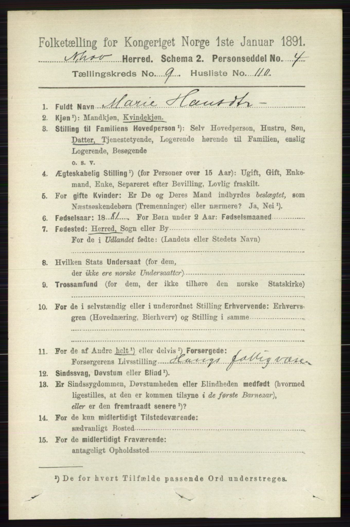 RA, 1891 census for 0613 Norderhov, 1891, p. 7416