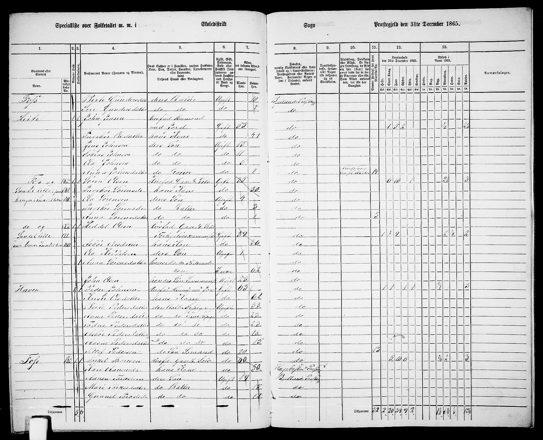 RA, 1865 census for Bjelland, 1865, p. 111