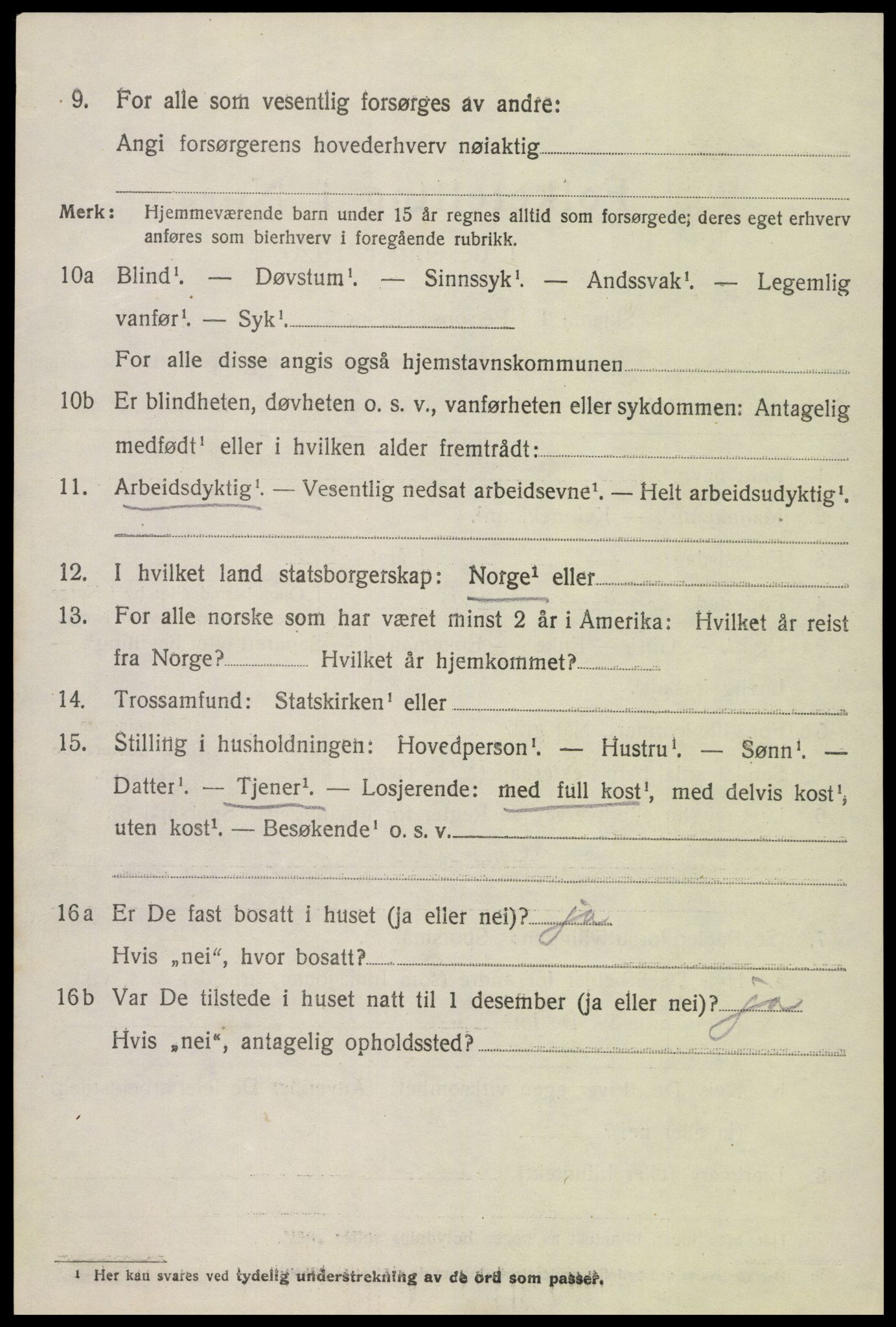 SAK, 1920 census for Hornnes, 1920, p. 3272
