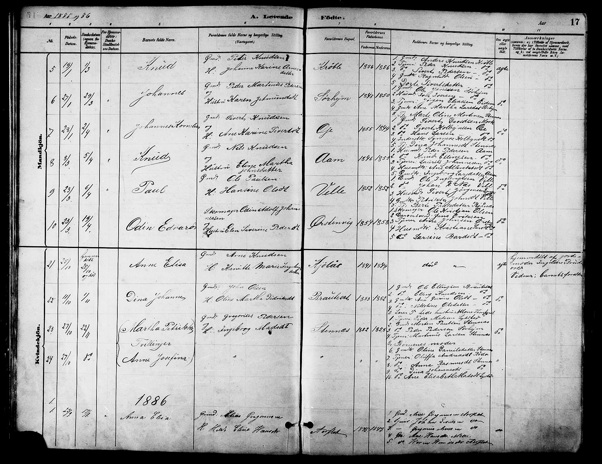 Ministerialprotokoller, klokkerbøker og fødselsregistre - Møre og Romsdal, SAT/A-1454/513/L0189: Parish register (copy) no. 513C03, 1883-1904, p. 17