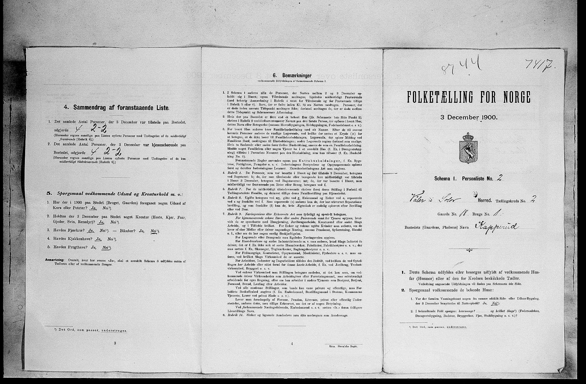 SAH, 1900 census for Våler, 1900, p. 49