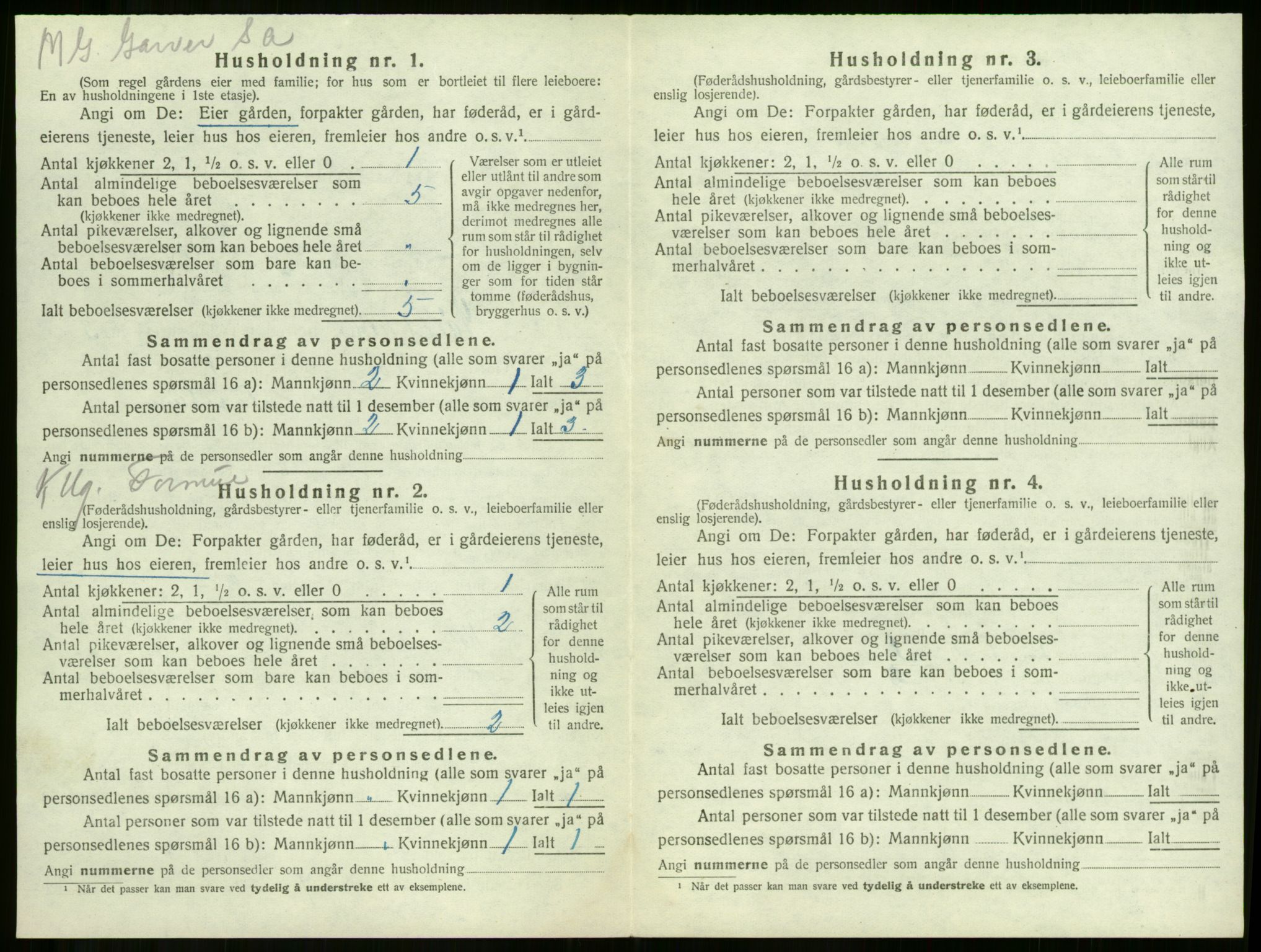 SAKO, 1920 census for Våle, 1920, p. 396