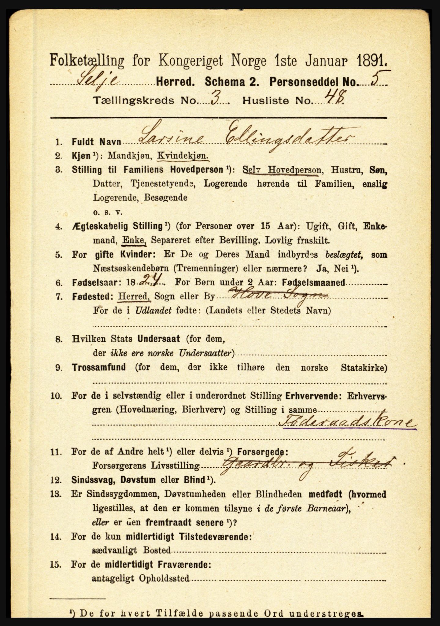 RA, 1891 census for 1441 Selje, 1891, p. 902