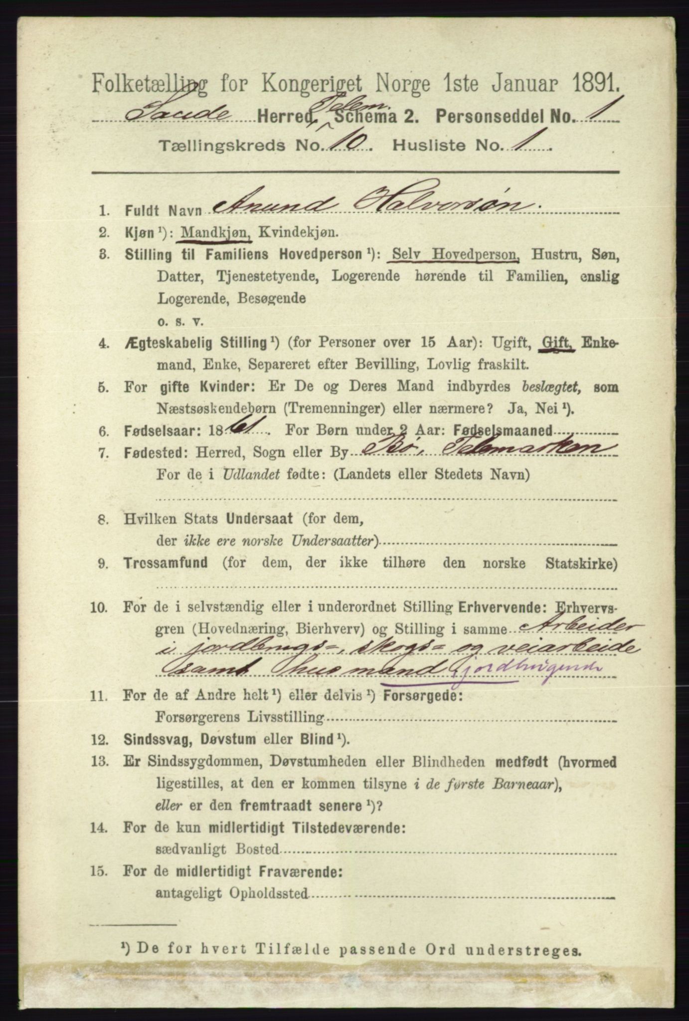 RA, 1891 census for 0822 Sauherad, 1891, p. 3003