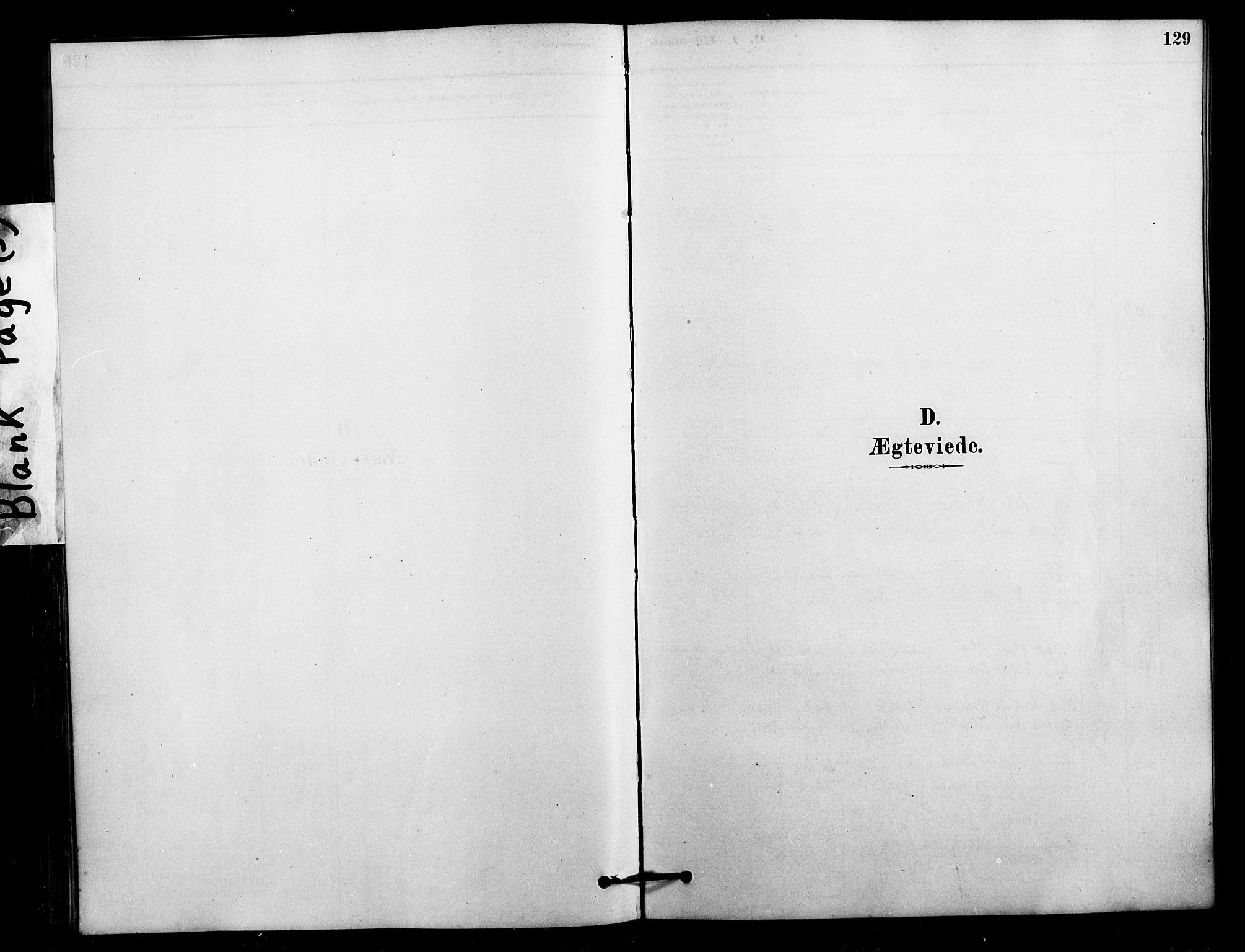 Ministerialprotokoller, klokkerbøker og fødselsregistre - Nordland, AV/SAT-A-1459/897/L1399: Parish register (official) no. 897C06, 1881-1896, p. 129