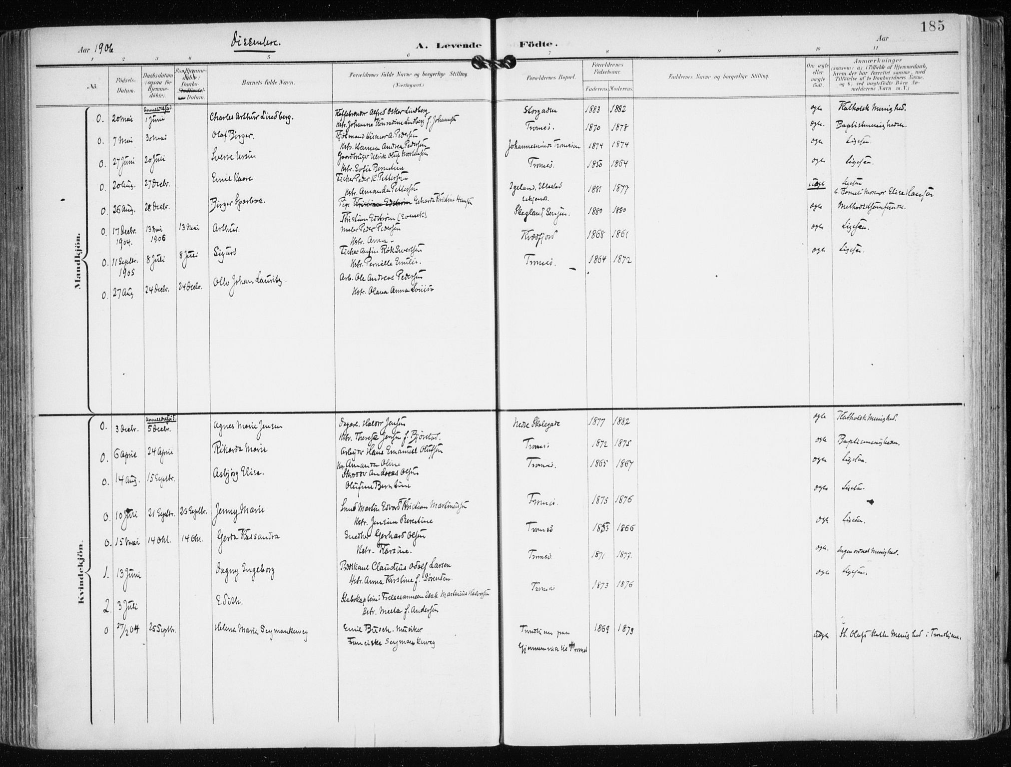 Tromsø sokneprestkontor/stiftsprosti/domprosti, AV/SATØ-S-1343/G/Ga/L0016kirke: Parish register (official) no. 16, 1899-1906, p. 185