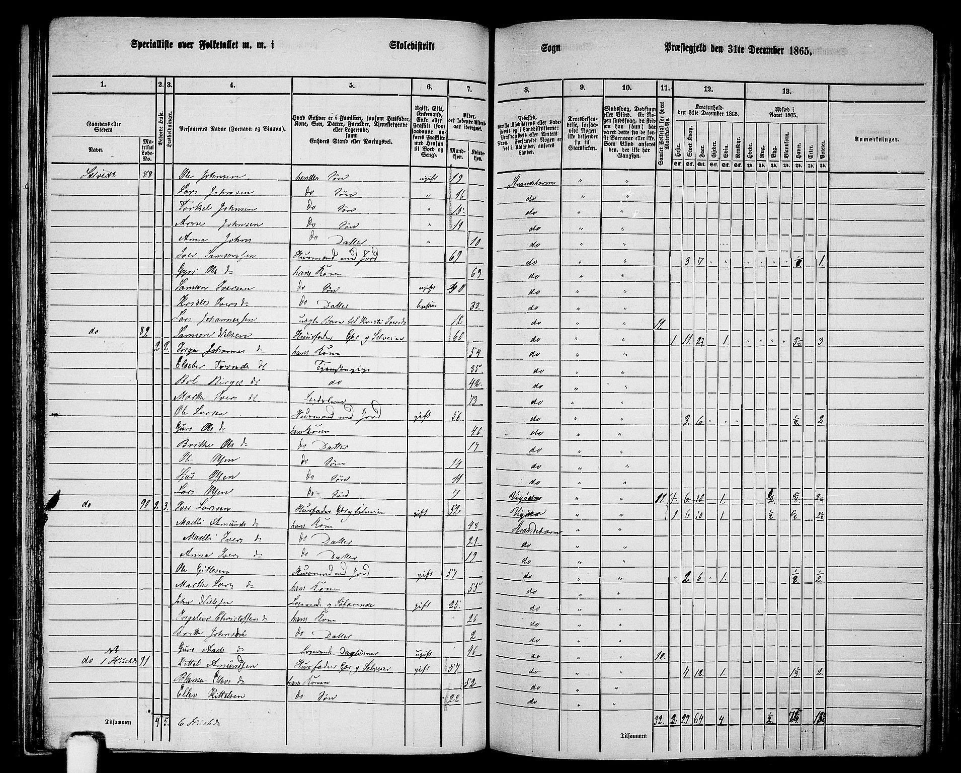 RA, 1865 census for Strandebarm, 1865, p. 132