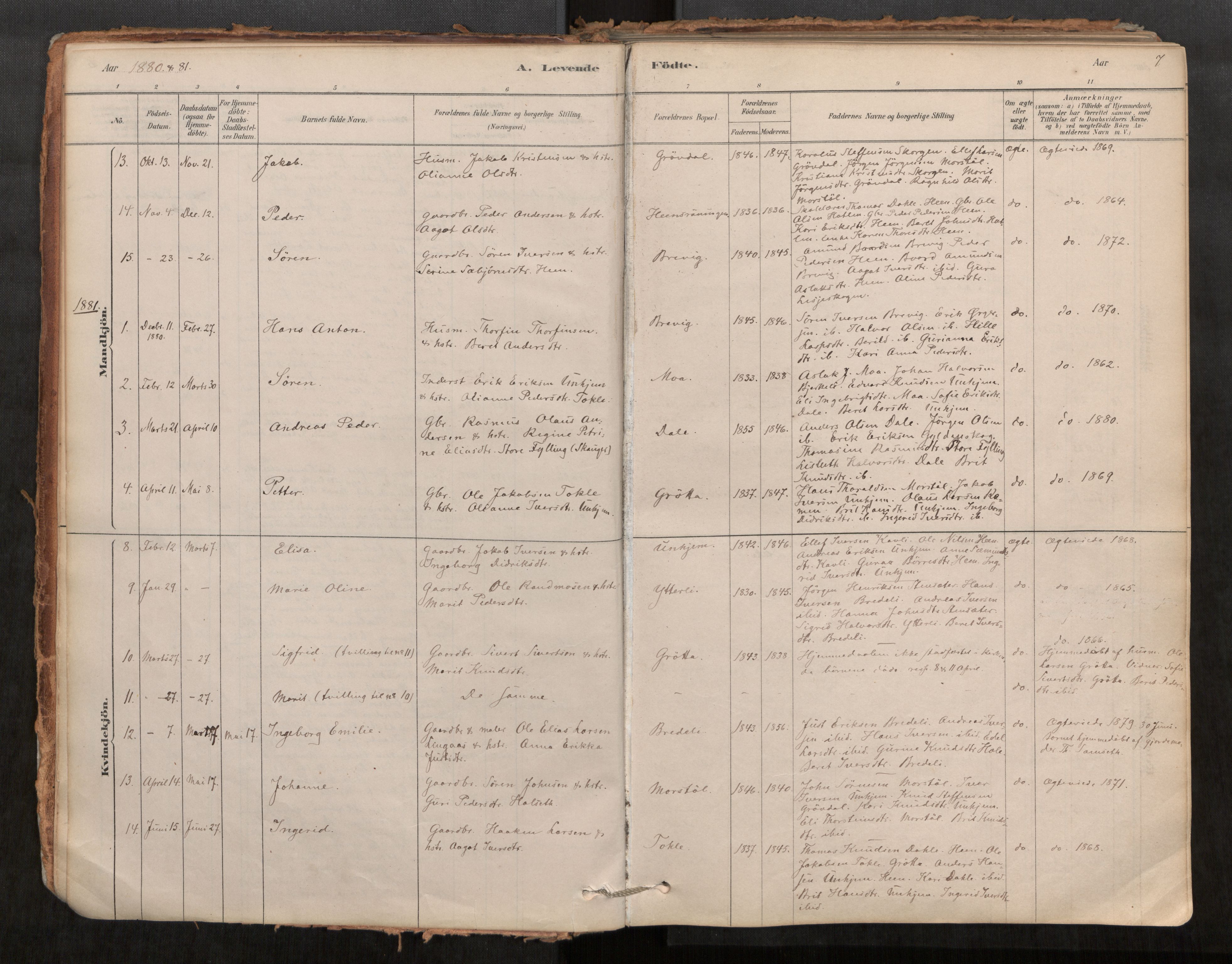 Ministerialprotokoller, klokkerbøker og fødselsregistre - Møre og Romsdal, AV/SAT-A-1454/545/L0594: Parish register (official) no. 545A03, 1878-1920, p. 7