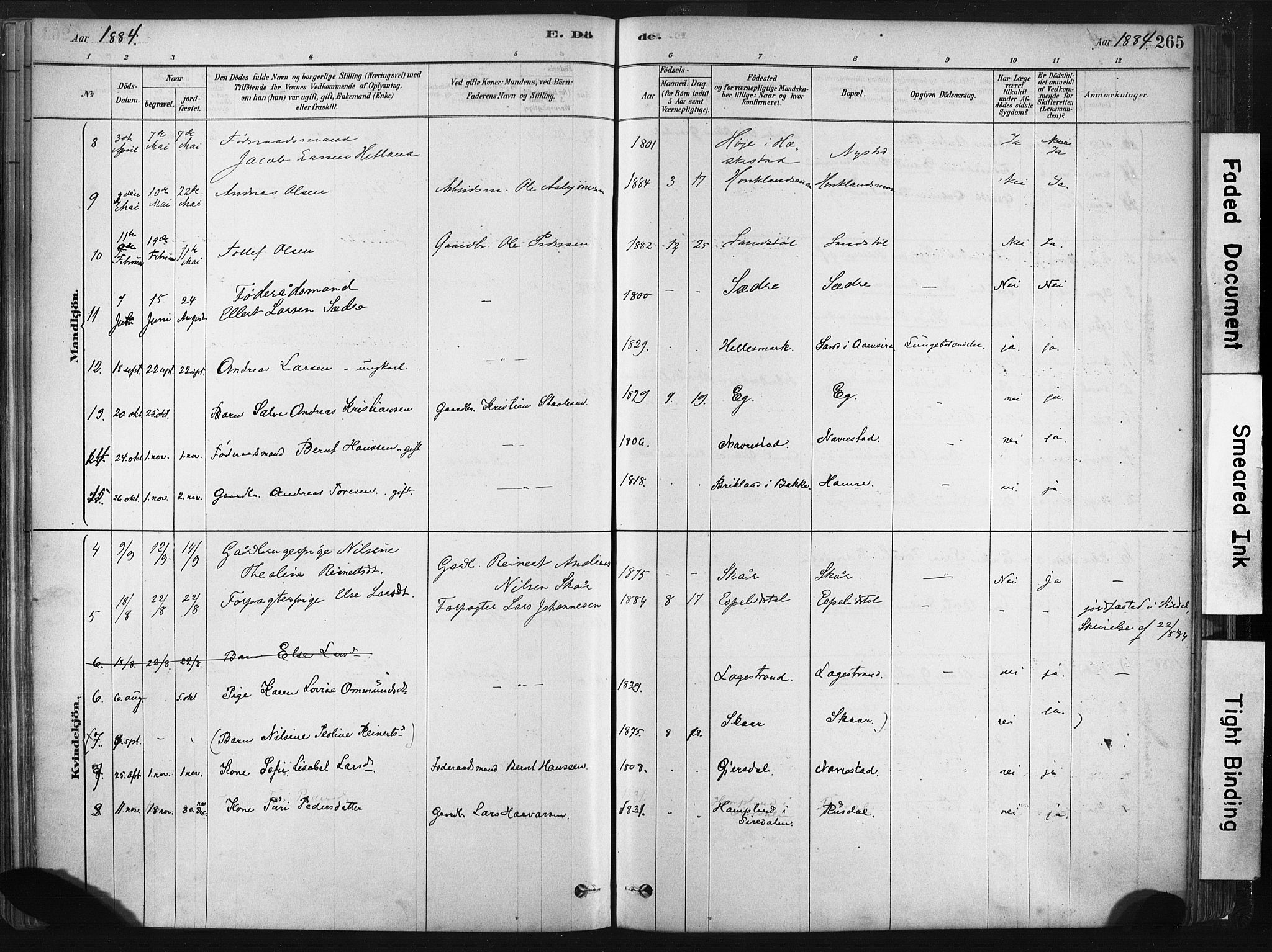 Lund sokneprestkontor, AV/SAST-A-101809/S06/L0011: Parish register (official) no. A 10, 1877-1904, p. 265