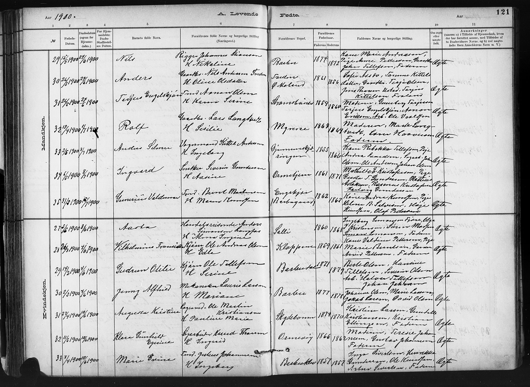 Barbu sokneprestkontor, SAK/1111-0003/F/Fb/L0002: Parish register (copy) no. B 2, 1890-1922, p. 121