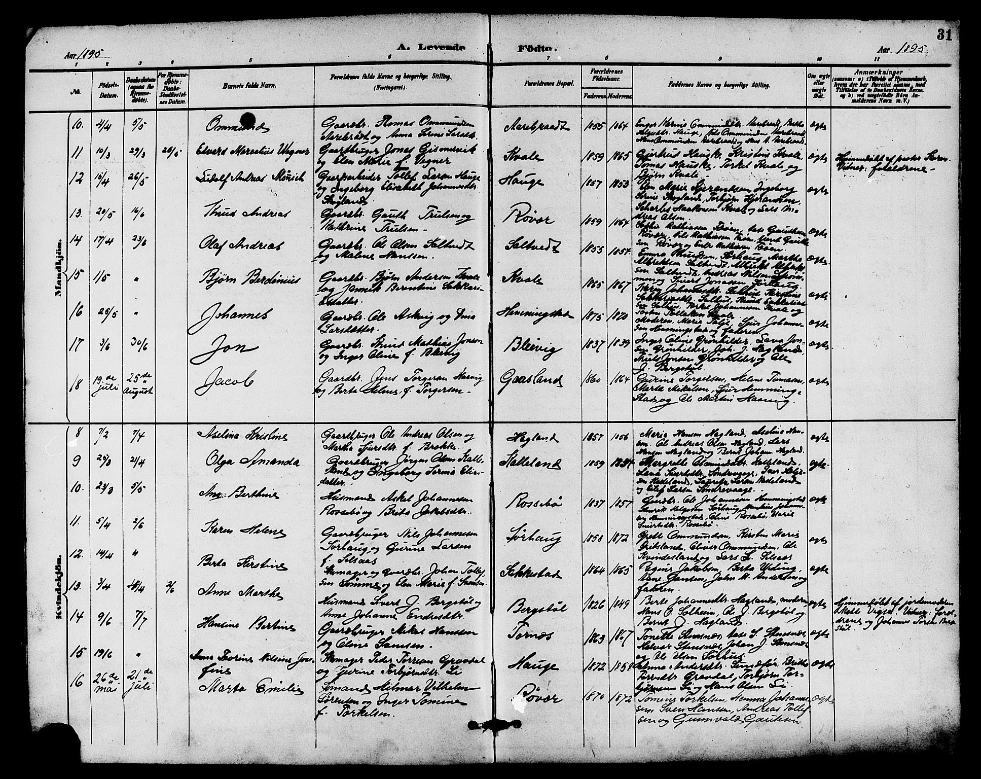 Haugesund sokneprestkontor, AV/SAST-A -101863/H/Ha/Hab/L0004: Parish register (copy) no. B 4, 1889-1905, p. 31