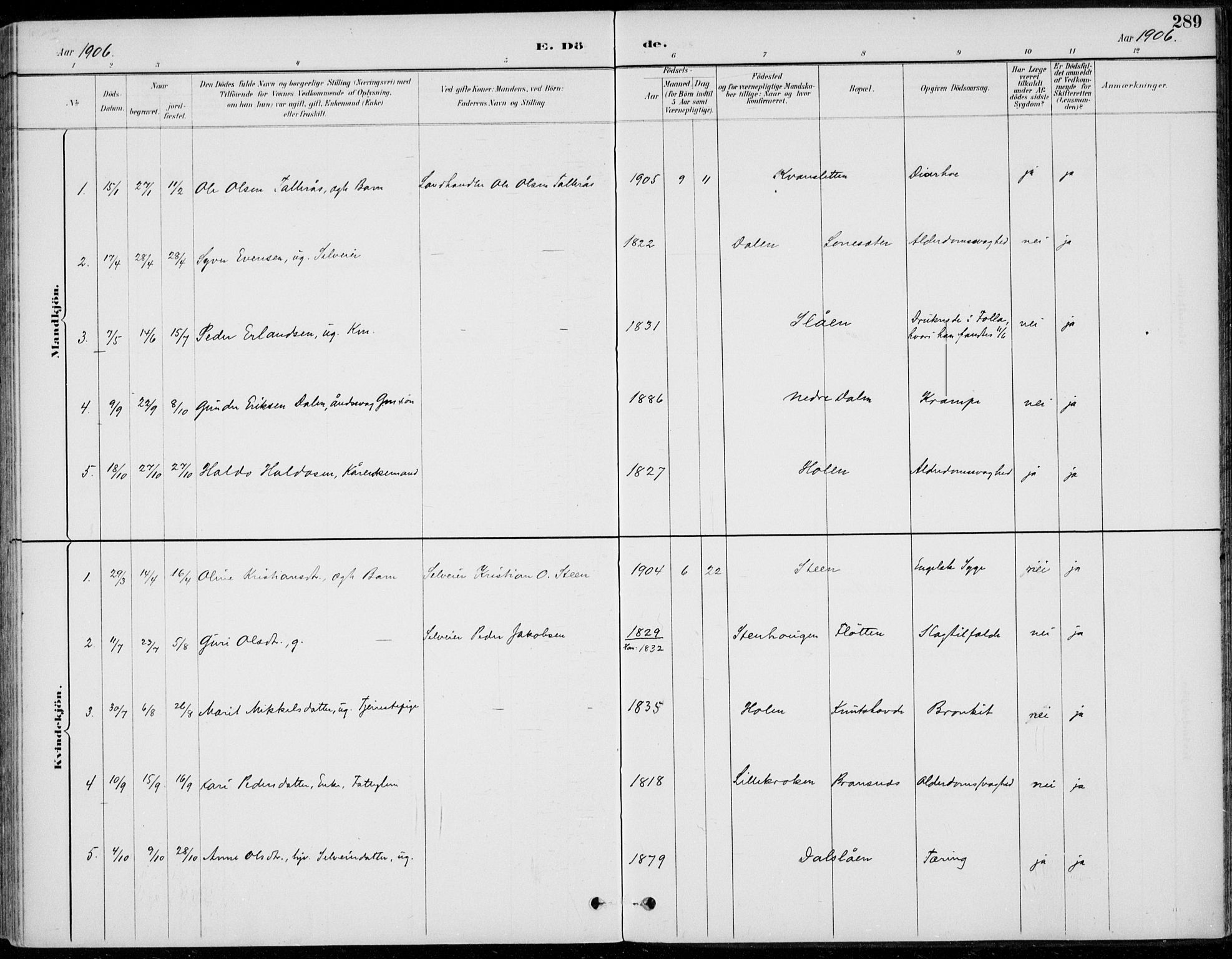 Alvdal prestekontor, AV/SAH-PREST-060/H/Ha/Haa/L0003: Parish register (official) no. 3, 1886-1912, p. 289