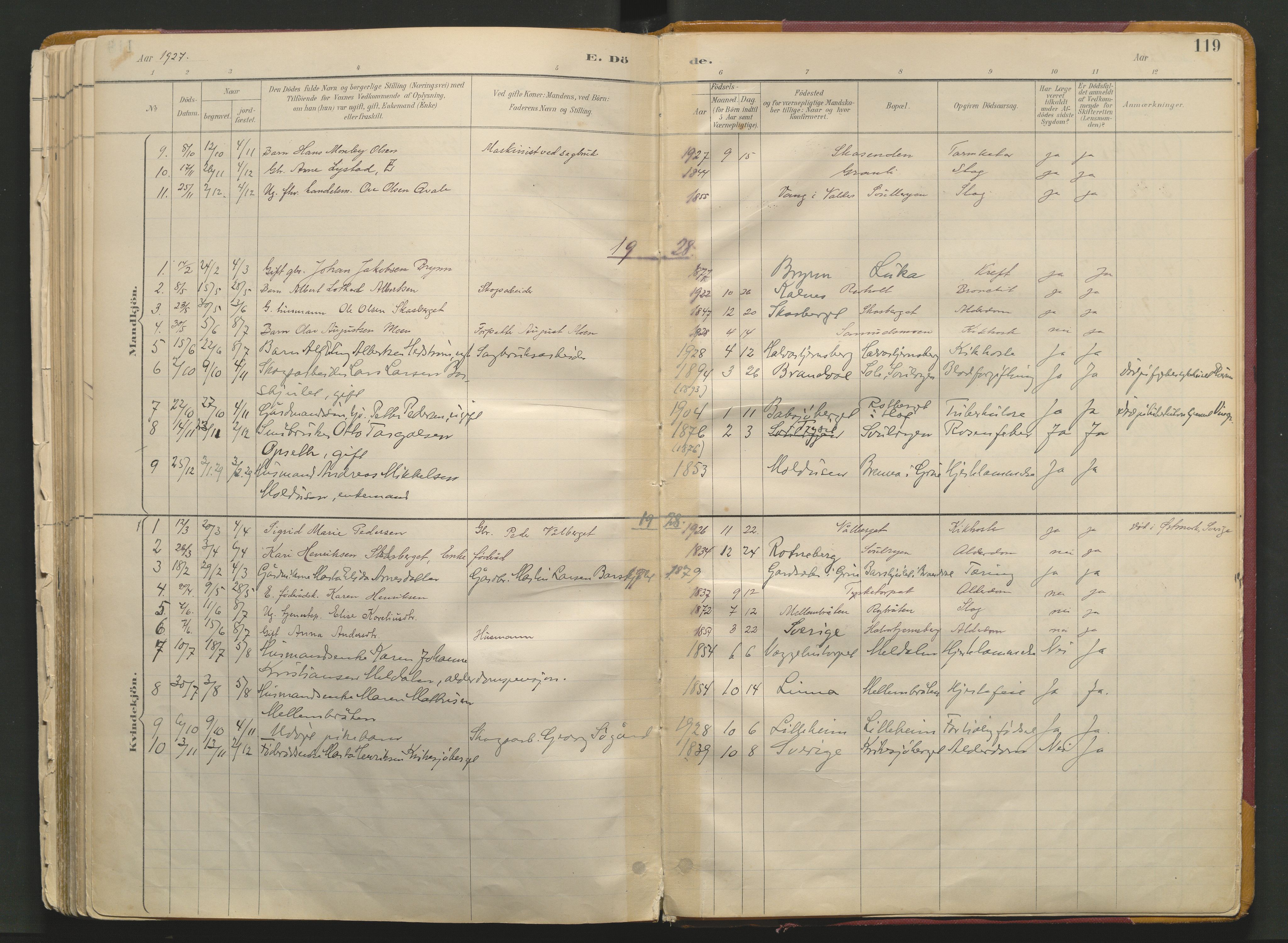 Grue prestekontor, SAH/PREST-036/H/Ha/Haa/L0017: Parish register (official) no. 17, 1892-1936, p. 119