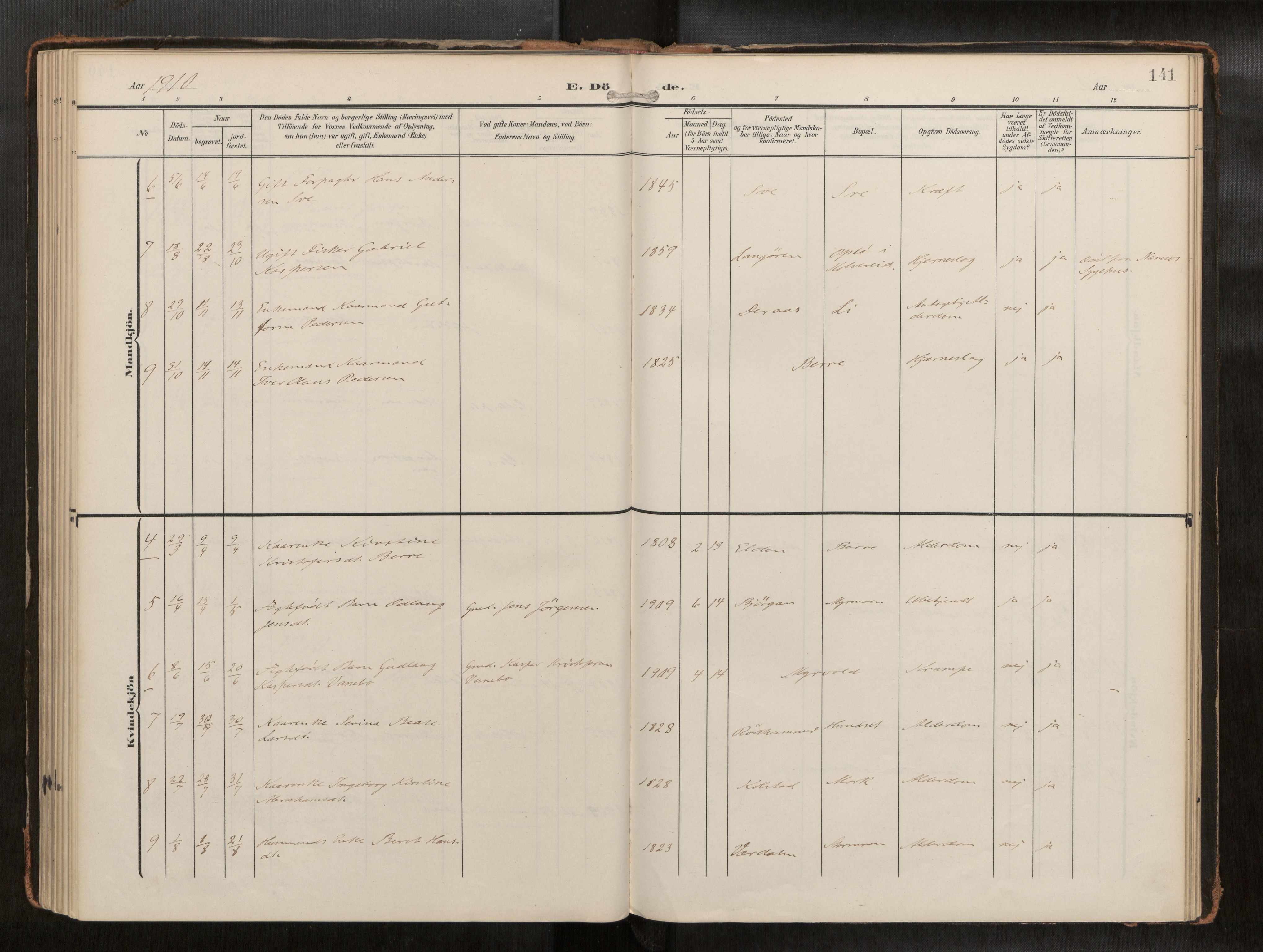 Ministerialprotokoller, klokkerbøker og fødselsregistre - Nord-Trøndelag, AV/SAT-A-1458/742/L0409a: Parish register (official) no. 742A03, 1906-1924, p. 141