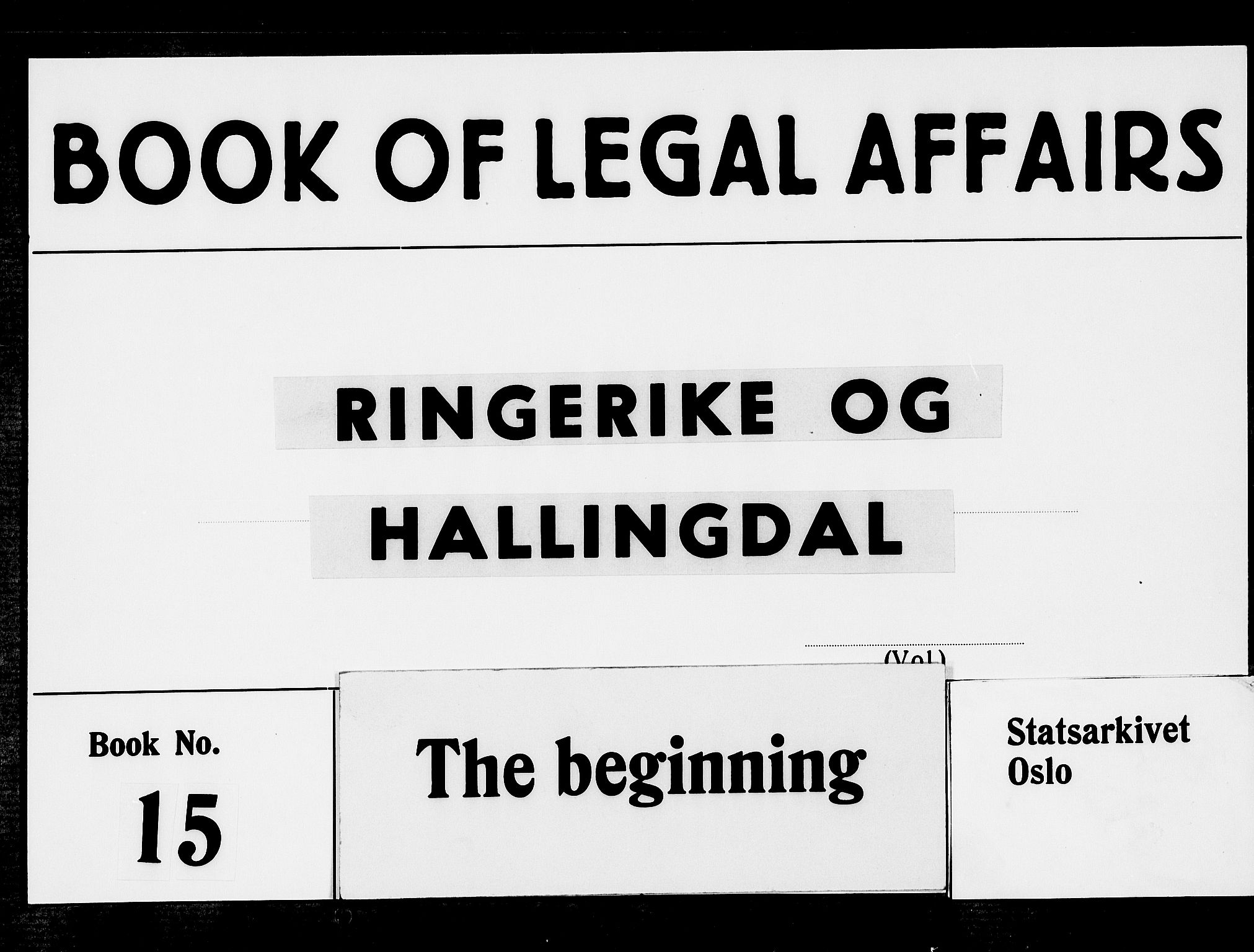 Ringerike og Hallingdal sorenskriveri, AV/SAKO-A-81/F/Fa/Faa/L0011: Tingbok, 1675-1676