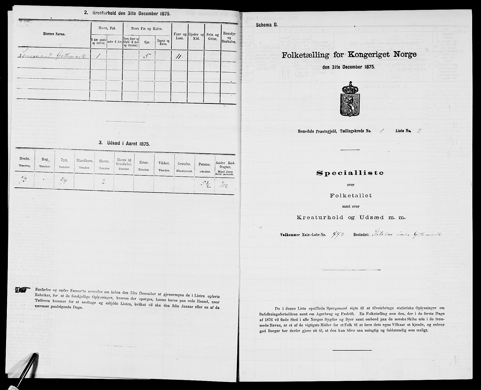 SAK, 1875 census for 0924P Homedal, 1875, p. 19