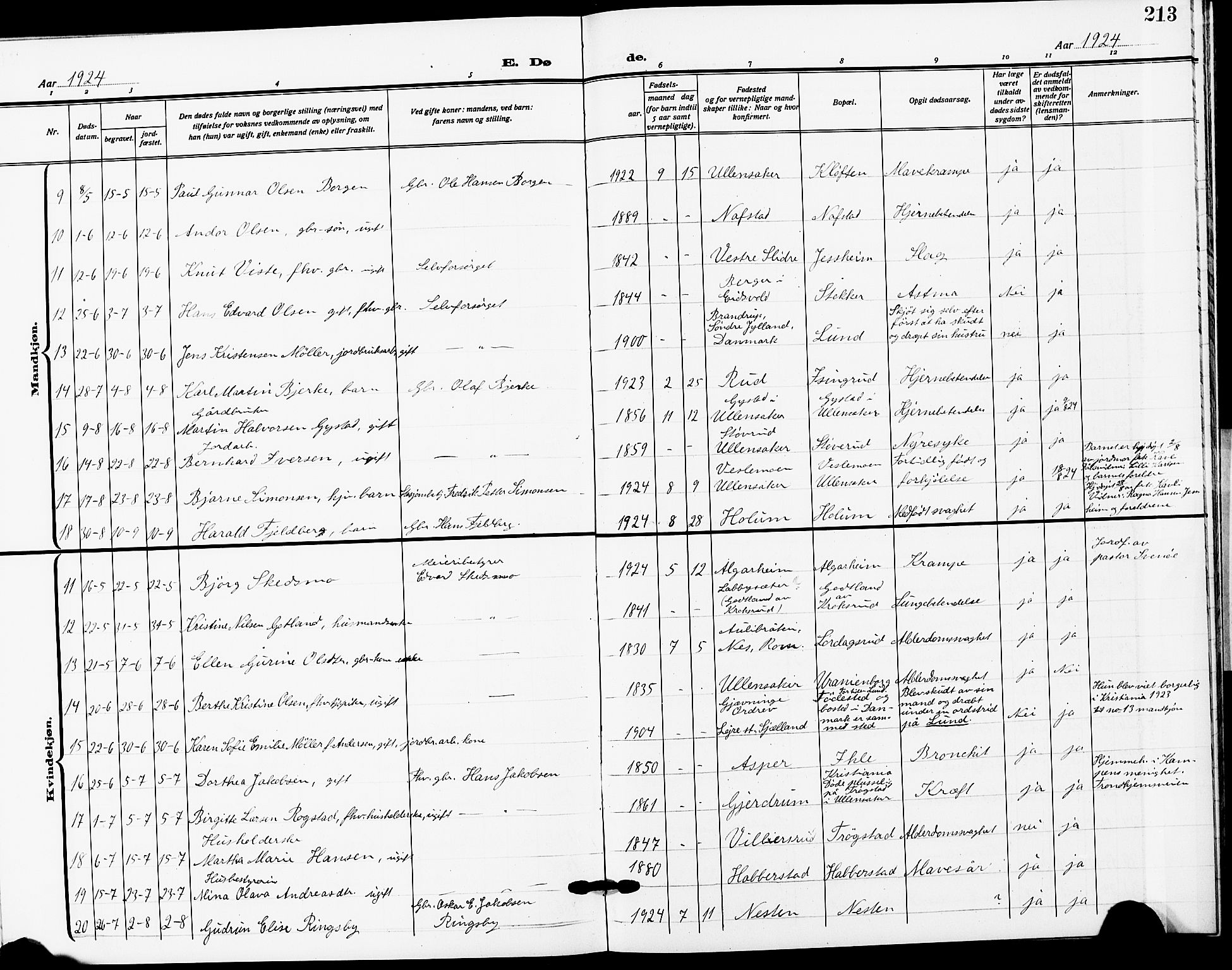 Ullensaker prestekontor Kirkebøker, SAO/A-10236a/G/Ga/L0003: Parish register (copy) no. I 3, 1914-1929, p. 213