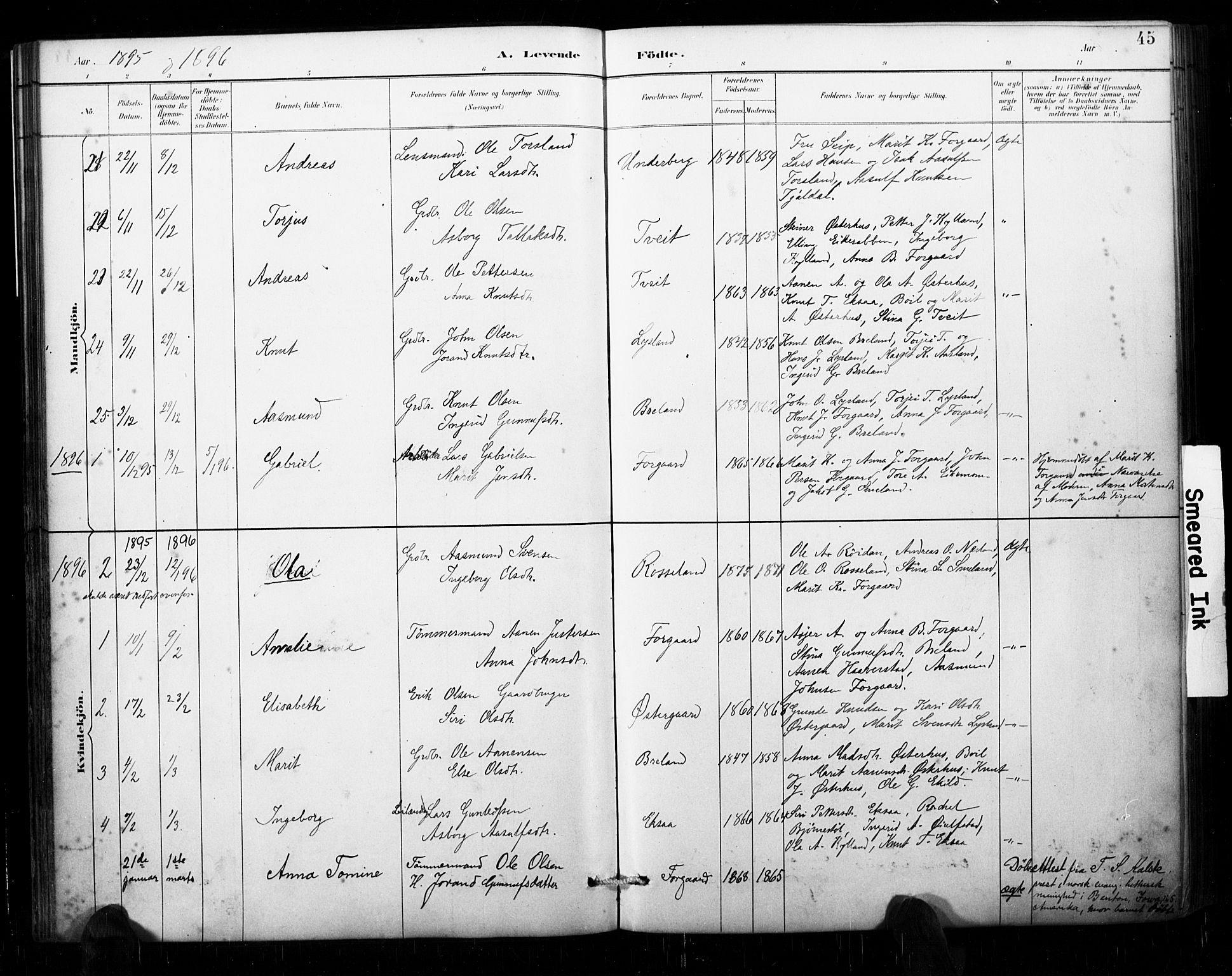 Åseral sokneprestkontor, AV/SAK-1111-0051/F/Fa/L0003: Parish register (official) no. A 3, 1884-1901, p. 45