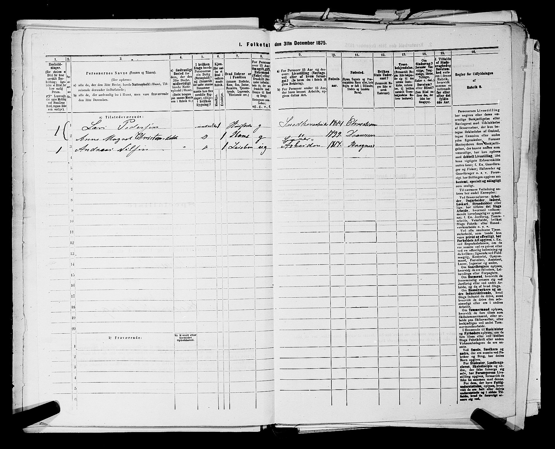 SAKO, 1875 census for 0602 Drammen, 1875, p. 2725