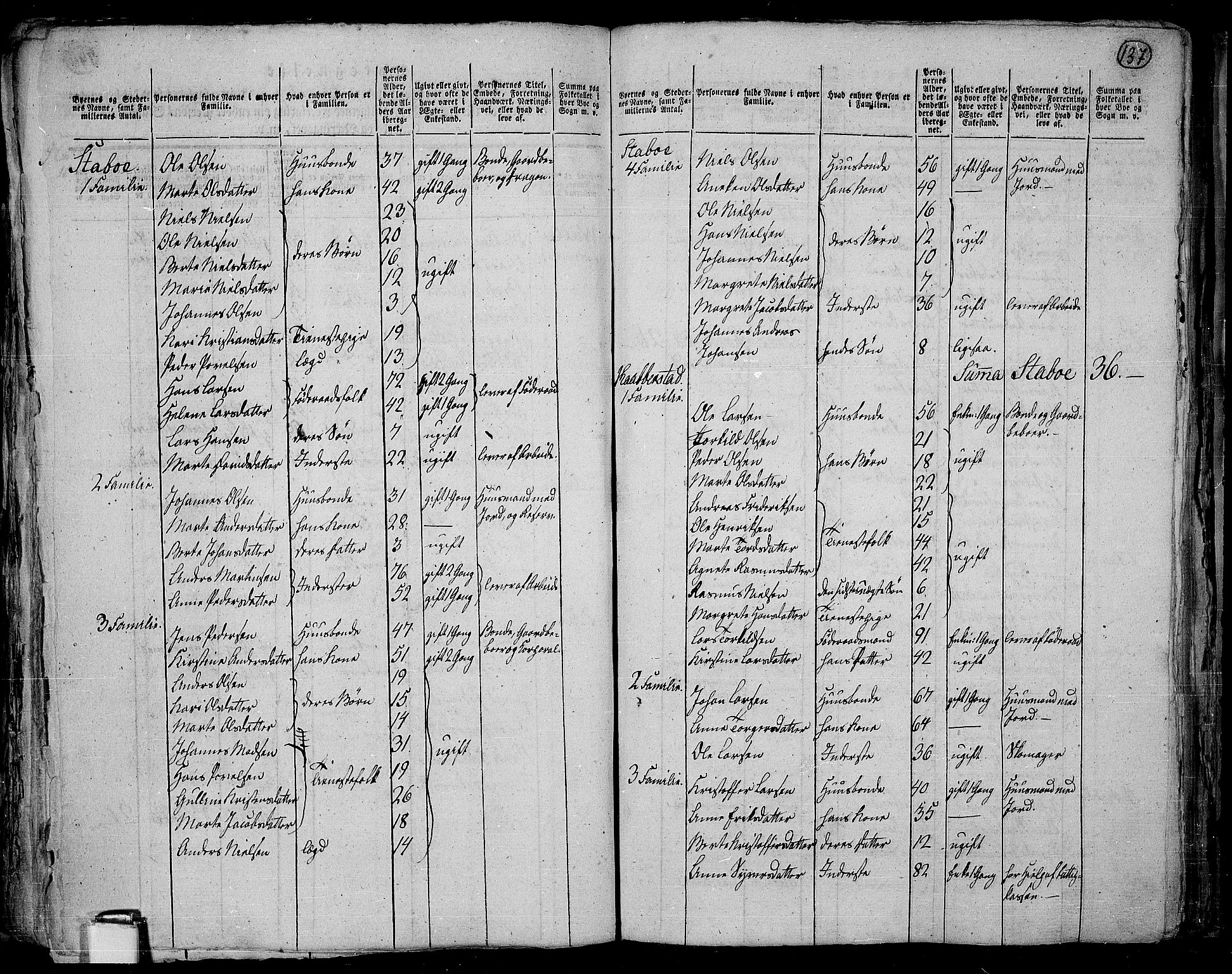 RA, 1801 census for 0528P Toten, 1801, p. 136b-137a