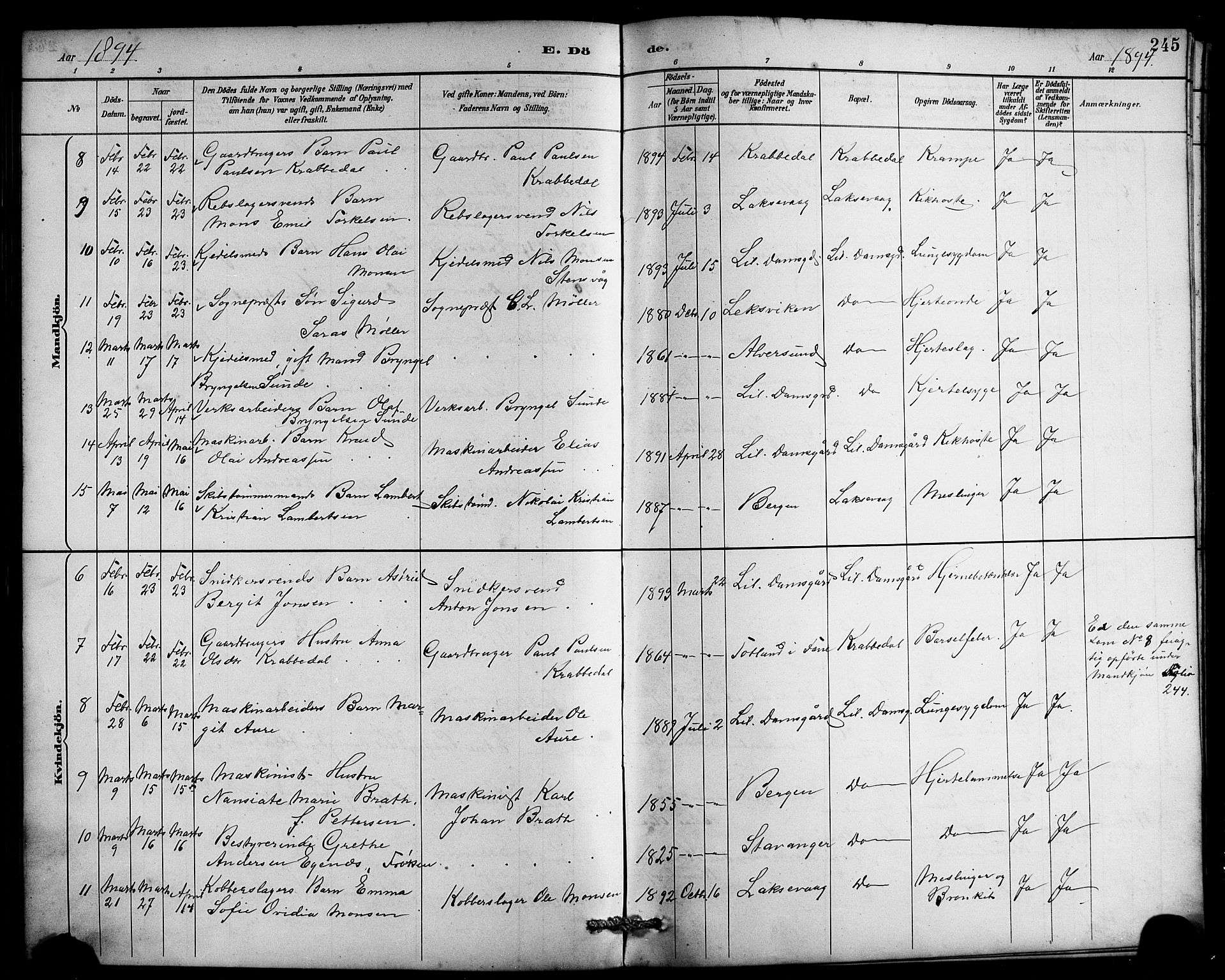Laksevåg Sokneprestembete, SAB/A-76501/H/Ha/Hab/Haba/L0003: Parish register (copy) no. A 3, 1887-1899, p. 245