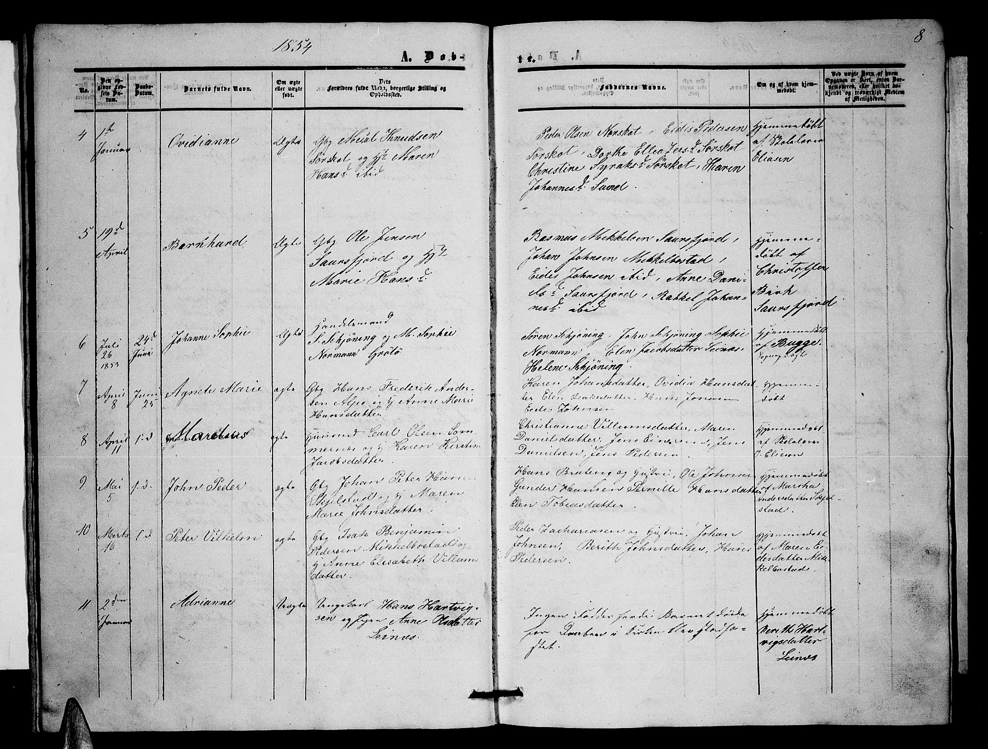 Ministerialprotokoller, klokkerbøker og fødselsregistre - Nordland, SAT/A-1459/857/L0827: Parish register (copy) no. 857C02, 1852-1879, p. 8