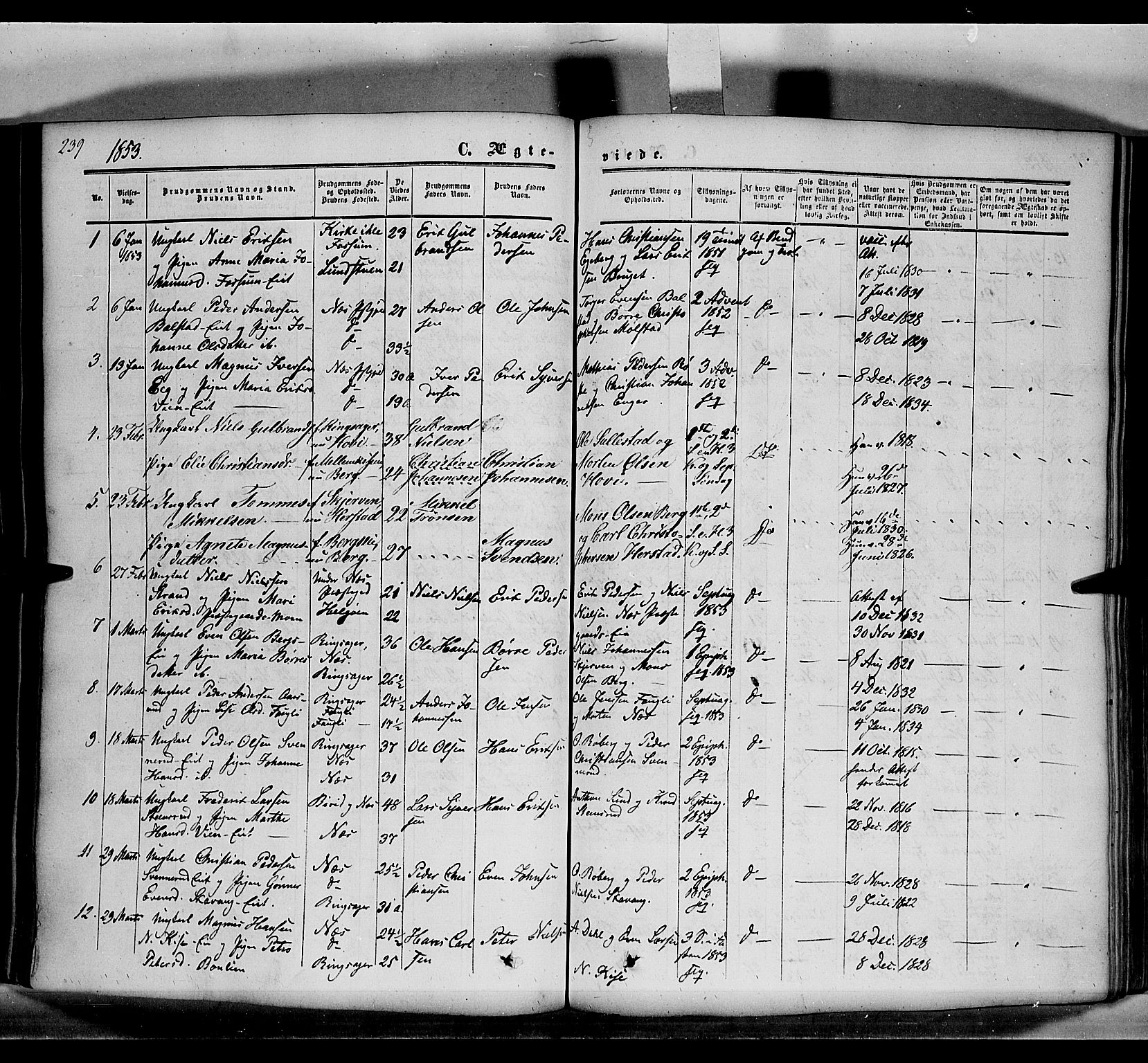 Nes prestekontor, Hedmark, AV/SAH-PREST-020/K/Ka/L0004: Parish register (official) no. 4, 1852-1886, p. 239