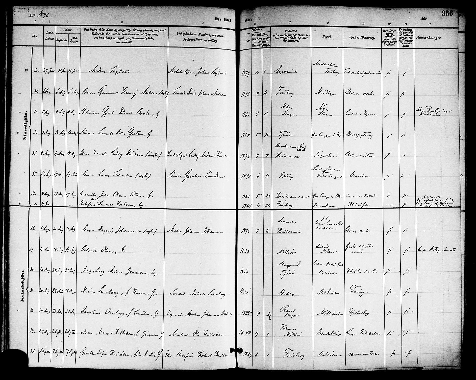 Tønsberg kirkebøker, AV/SAKO-A-330/F/Fa/L0012: Parish register (official) no. I 12, 1891-1899, p. 356