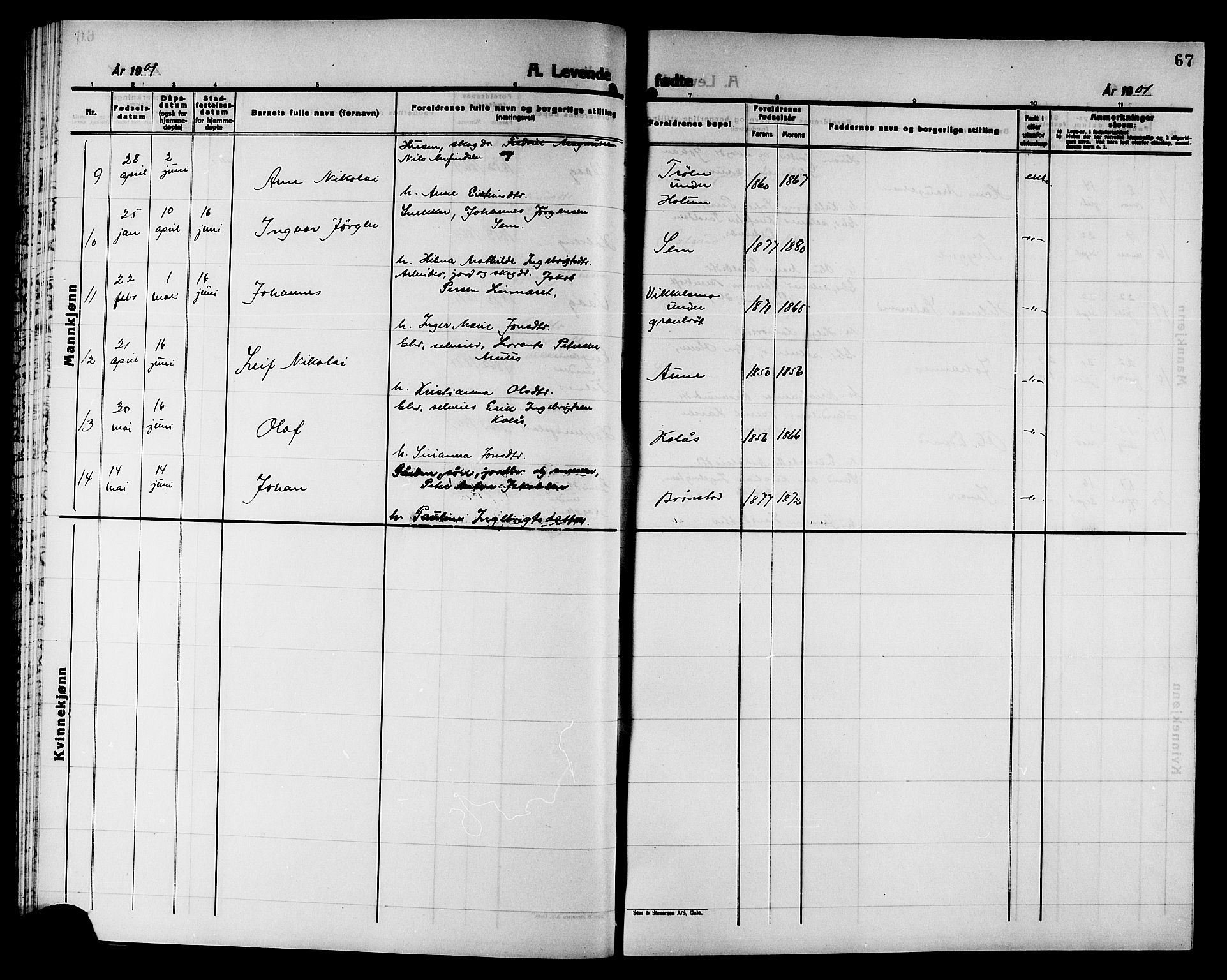 Ministerialprotokoller, klokkerbøker og fødselsregistre - Nord-Trøndelag, AV/SAT-A-1458/749/L0487: Parish register (official) no. 749D03, 1887-1902, p. 67