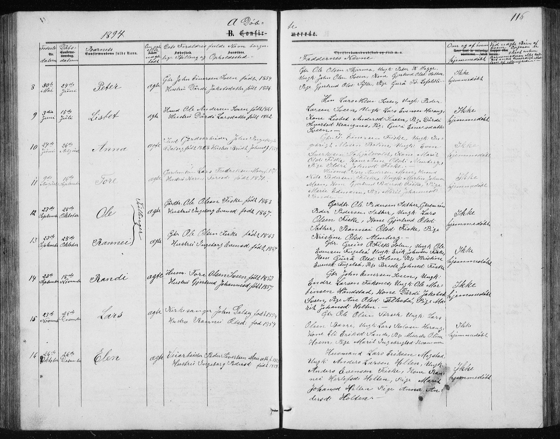 Ministerialprotokoller, klokkerbøker og fødselsregistre - Møre og Romsdal, AV/SAT-A-1454/597/L1064: Parish register (copy) no. 597C01, 1866-1898, p. 116