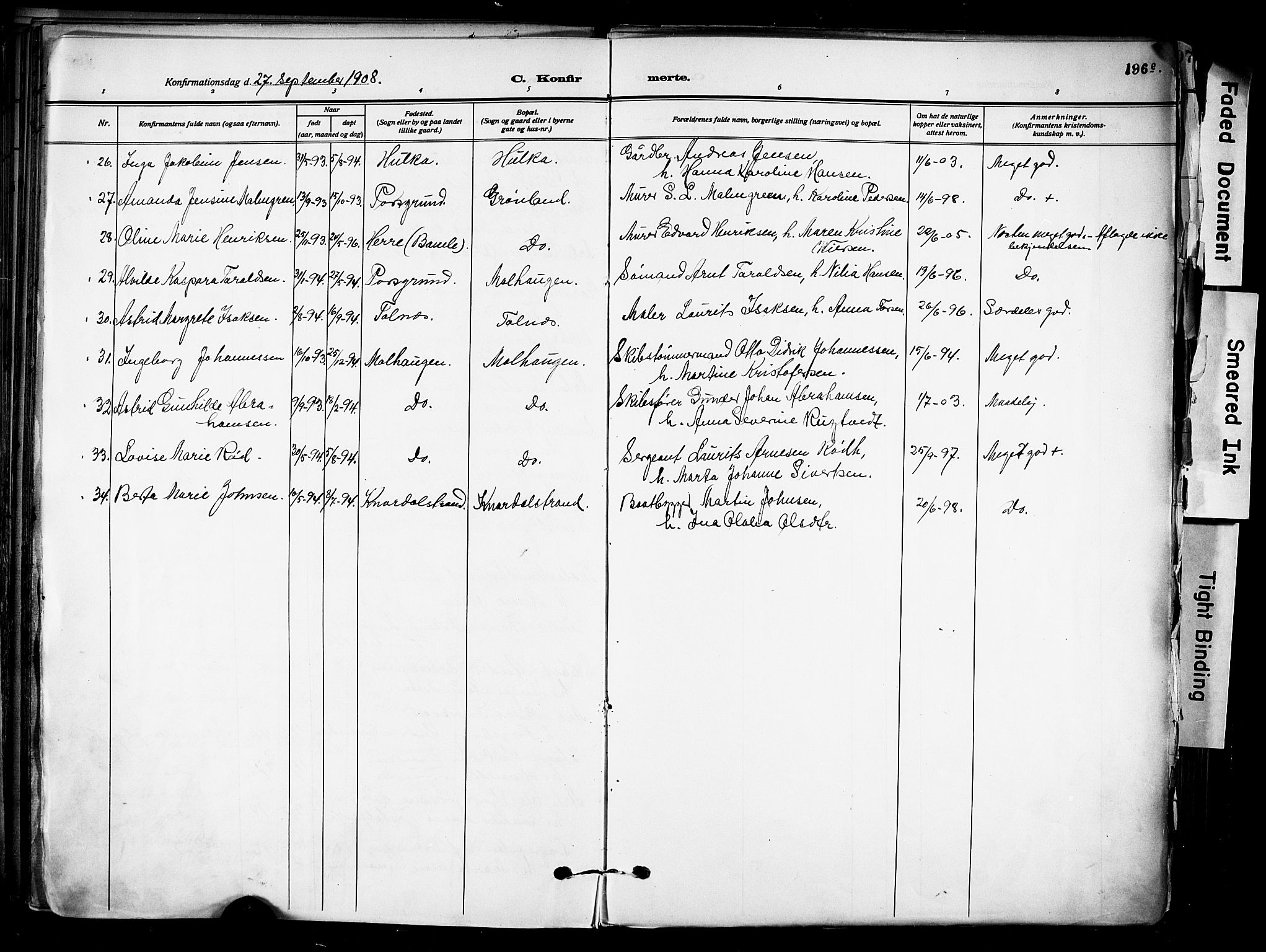 Solum kirkebøker, SAKO/A-306/F/Fa/L0011: Parish register (official) no. I 11, 1898-1909, p. 196