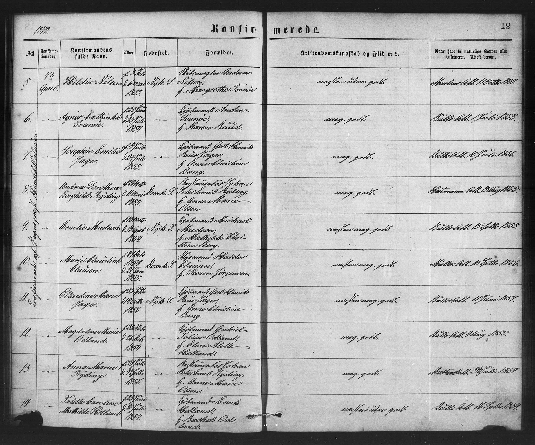 Nykirken Sokneprestembete, SAB/A-77101/H/Haa/L0026: Parish register (official) no. C 5, 1870-1886, p. 19