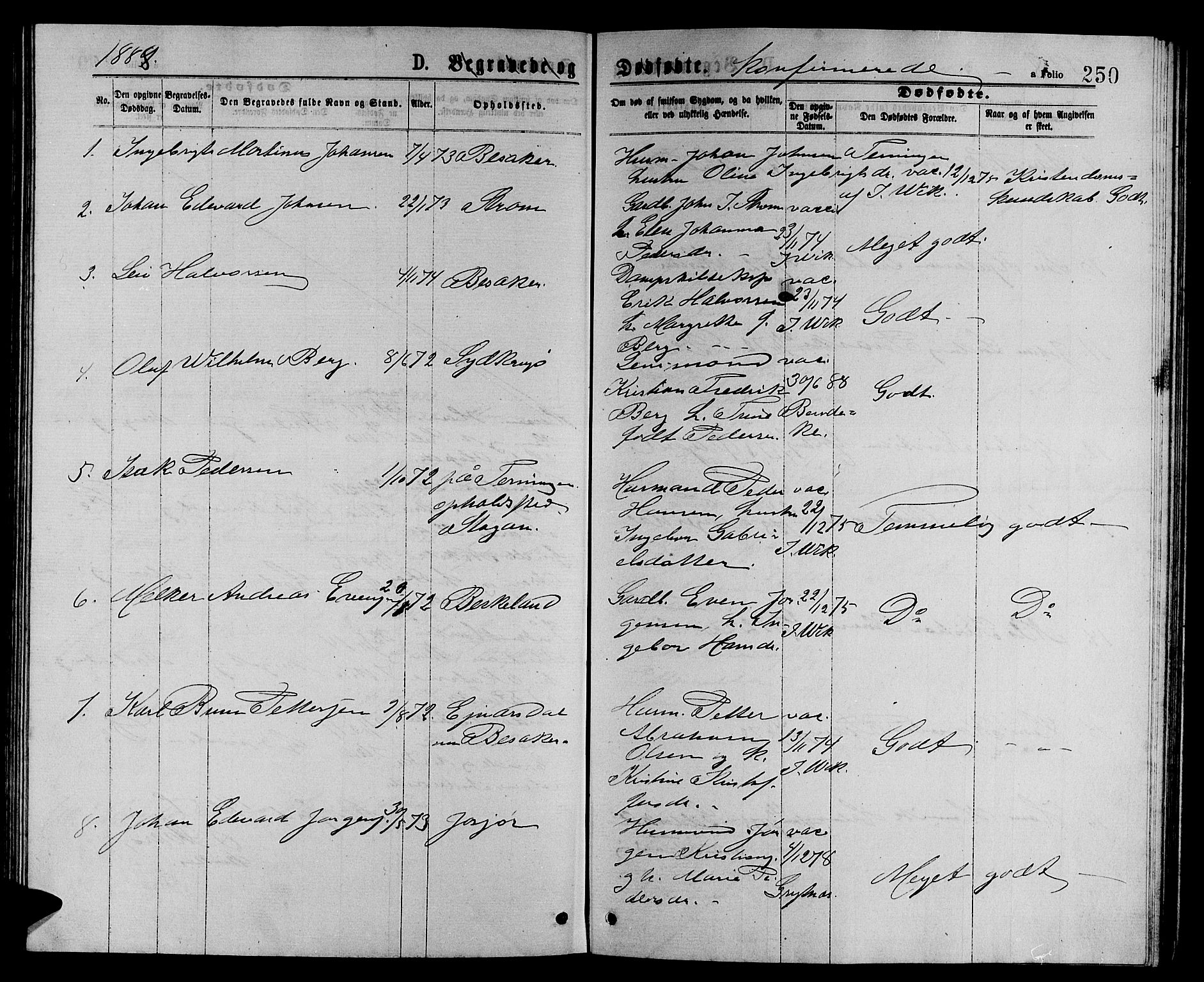 Ministerialprotokoller, klokkerbøker og fødselsregistre - Sør-Trøndelag, SAT/A-1456/657/L0715: Parish register (copy) no. 657C02, 1873-1888, p. 250