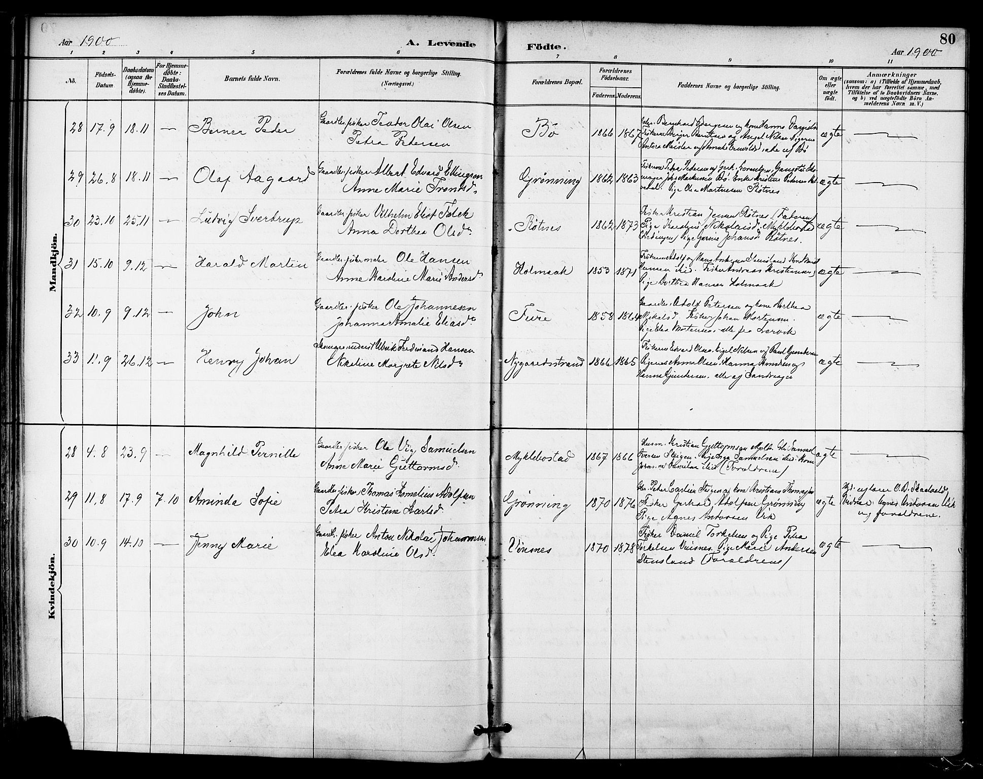 Ministerialprotokoller, klokkerbøker og fødselsregistre - Nordland, AV/SAT-A-1459/855/L0803: Parish register (official) no. 855A11, 1887-1905, p. 80