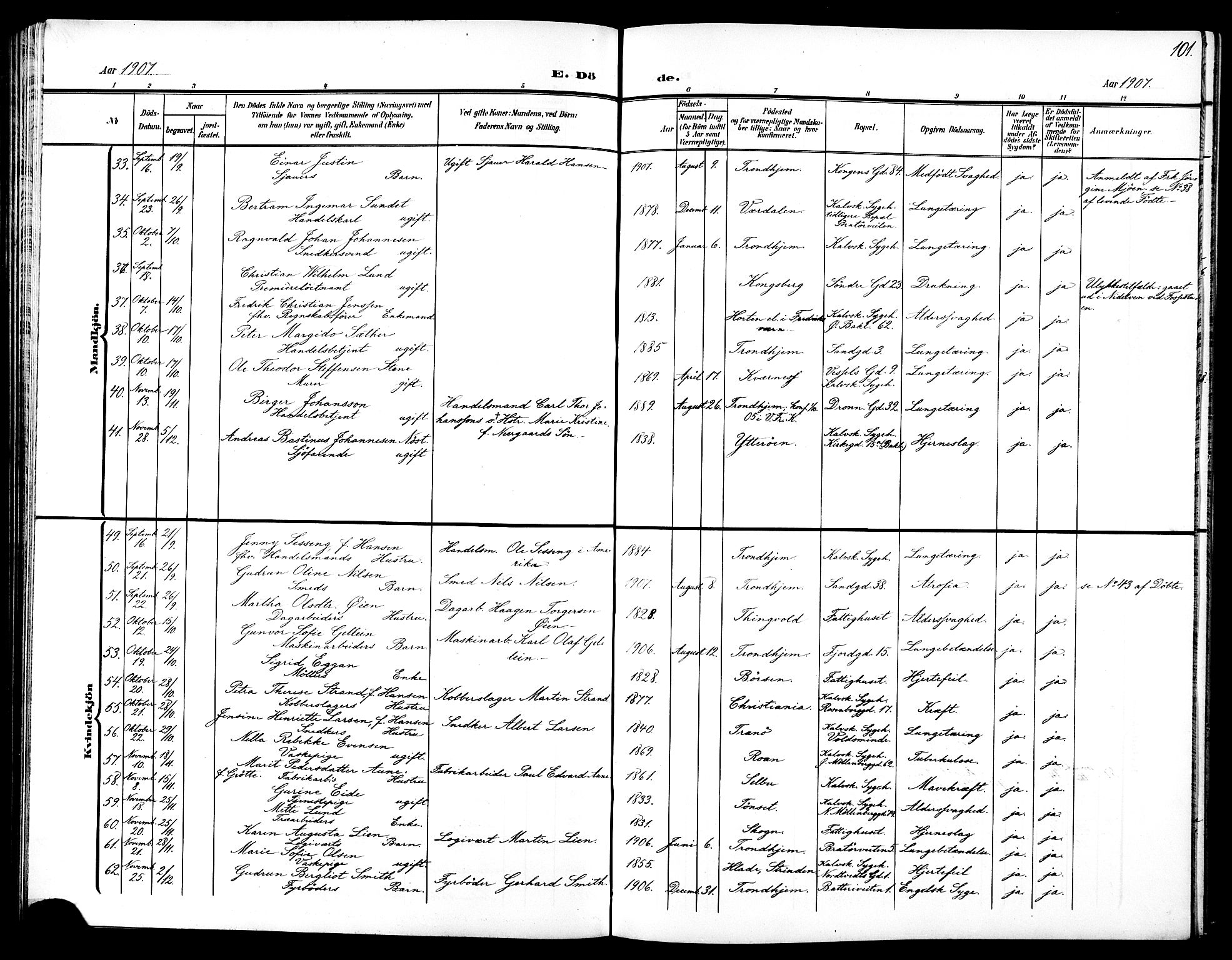 Ministerialprotokoller, klokkerbøker og fødselsregistre - Sør-Trøndelag, AV/SAT-A-1456/602/L0146: Parish register (copy) no. 602C14, 1904-1914, p. 101